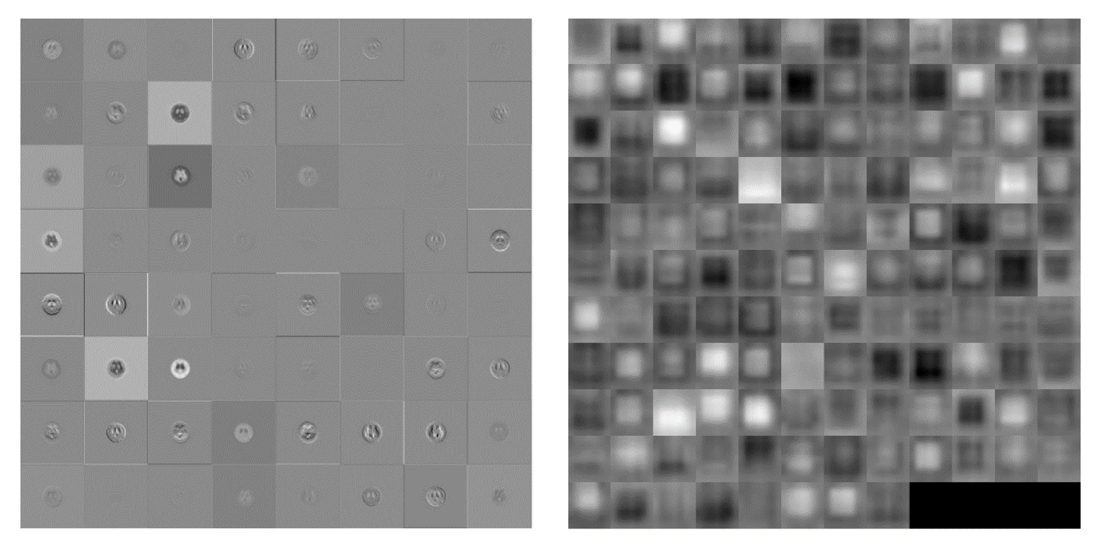 Molecules 25 04792 g004