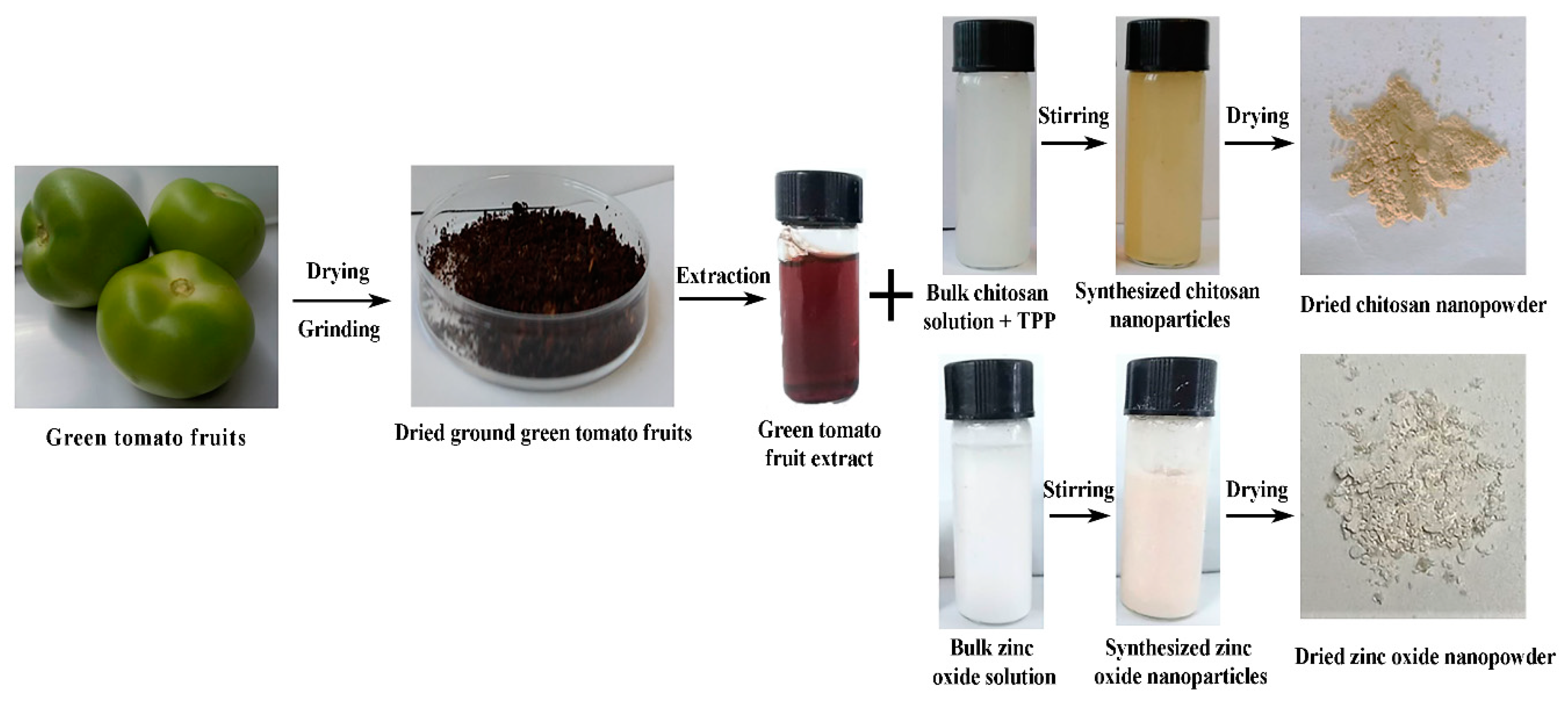 Molecules 25 04795 g001 Molecules 25 04795 g001