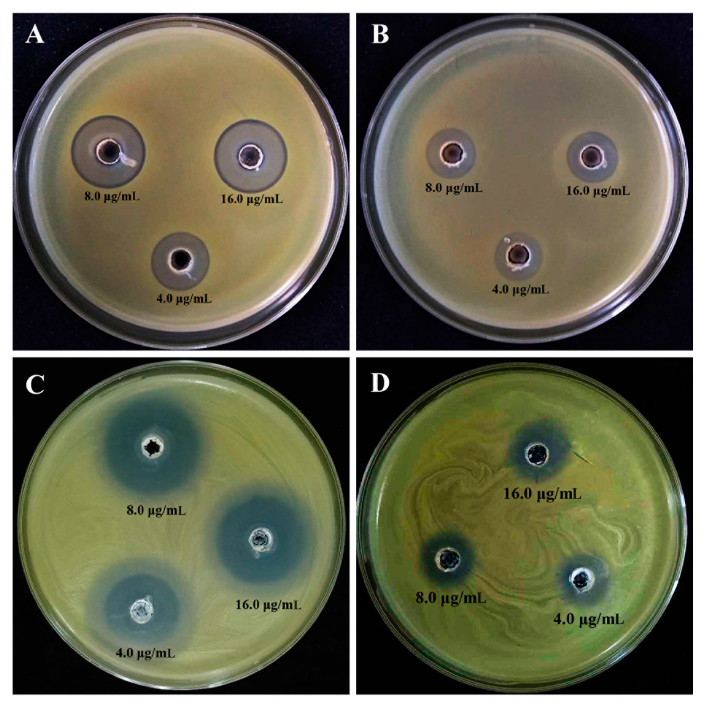 Molecules 25 04795 g005 Molecules 25 04795 g005