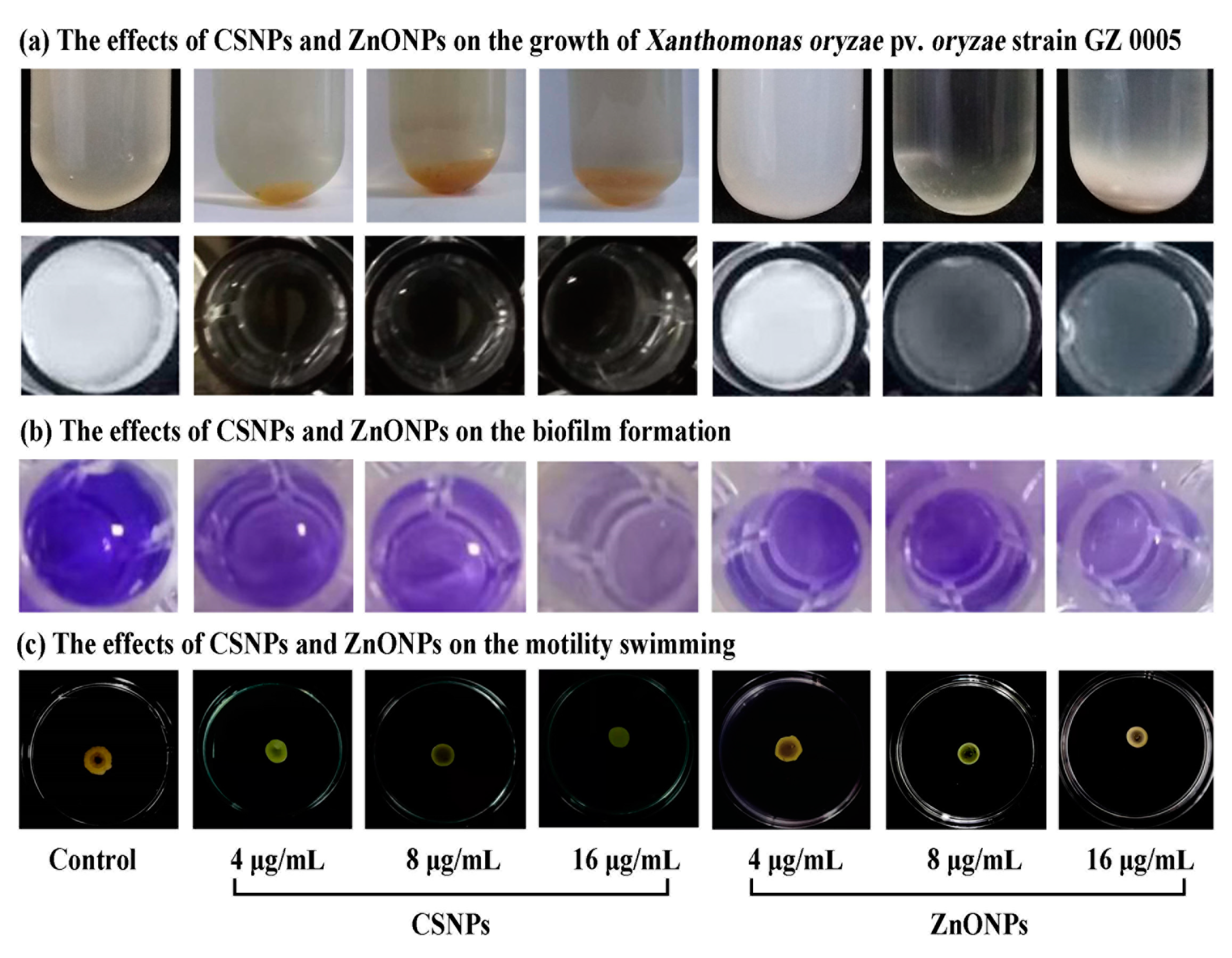 Molecules 25 04795 g006 Molecules 25 04795 g006
