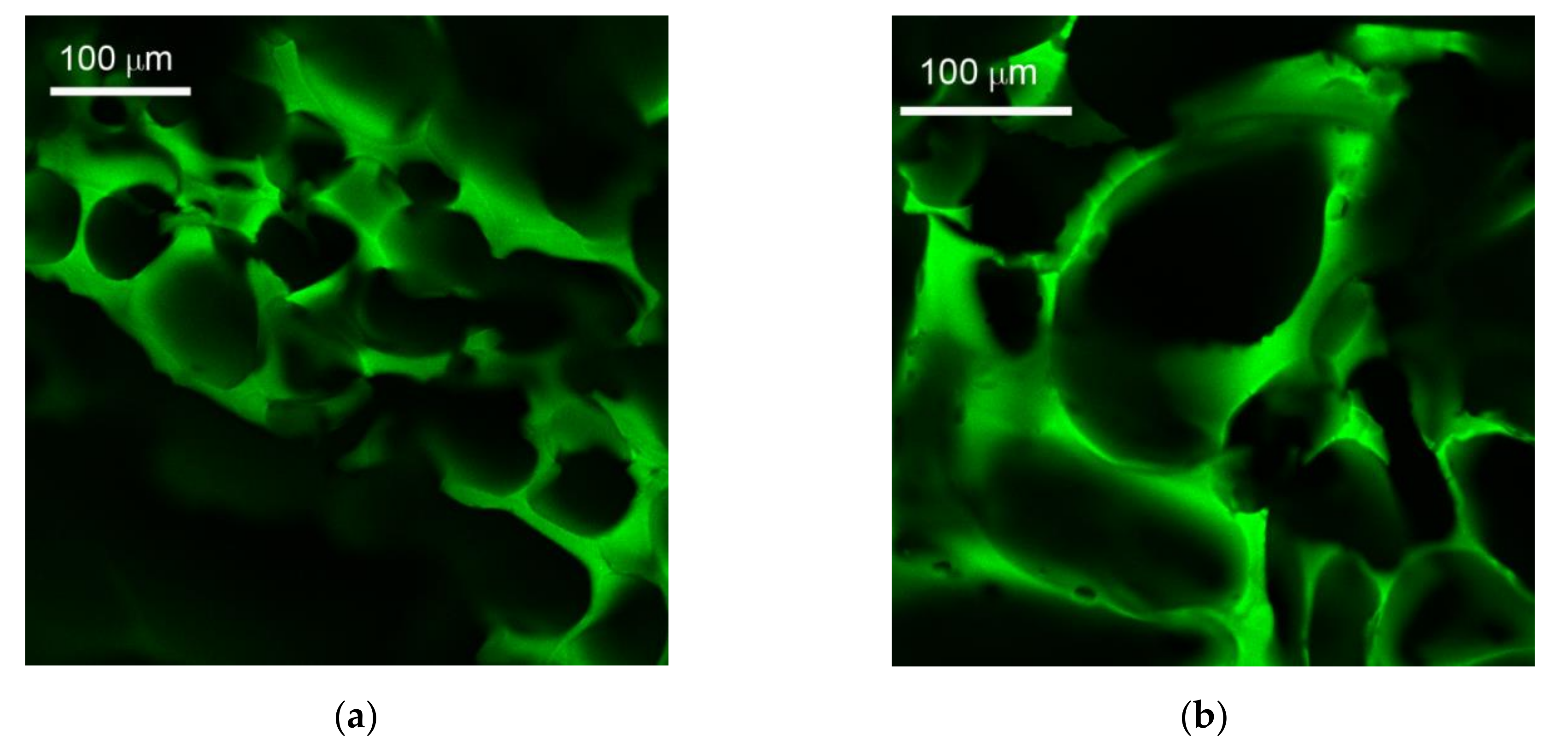 Molecules 25 04801 g003