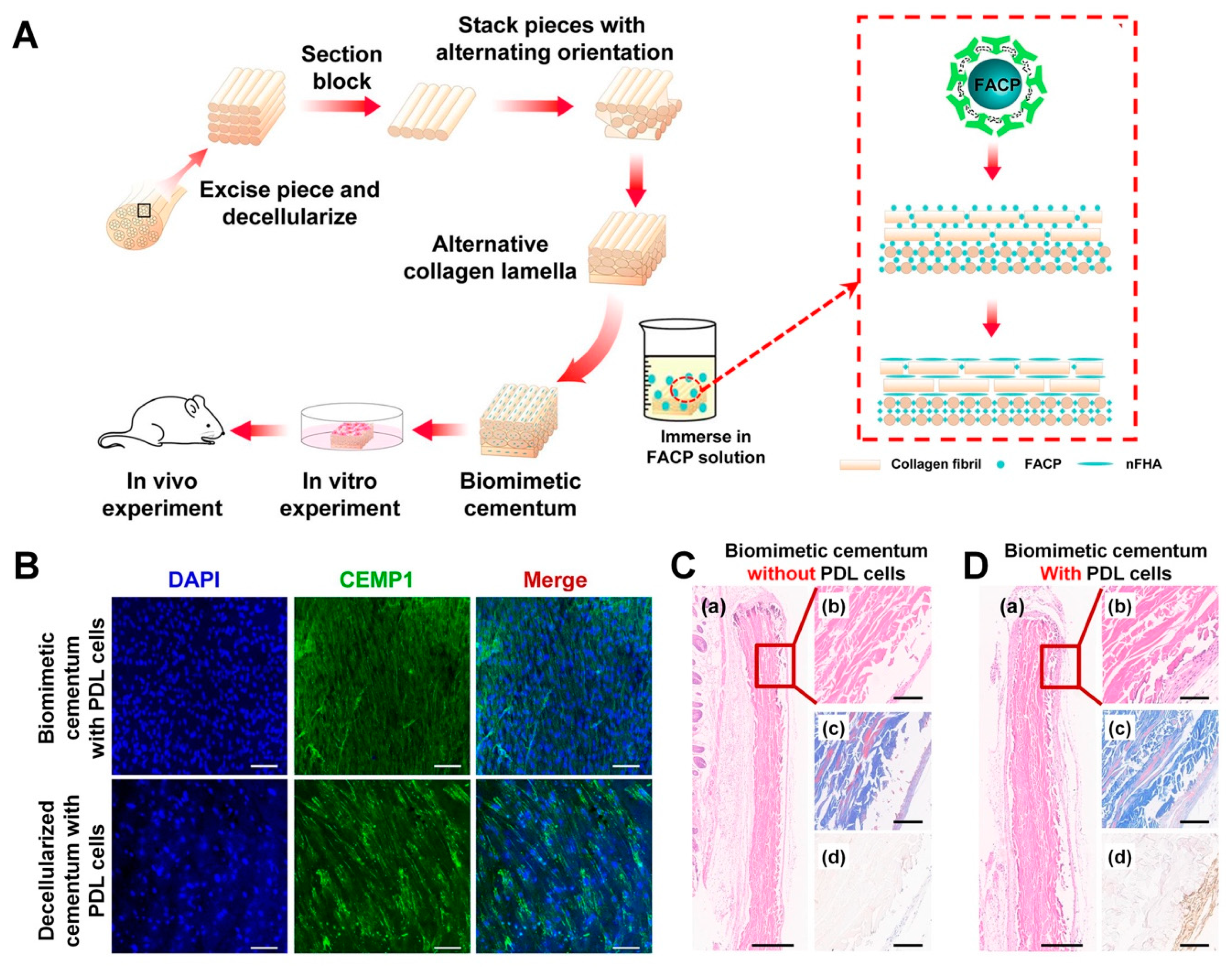 Molecules 25 04802 g008 Molecules 25 04802 g008