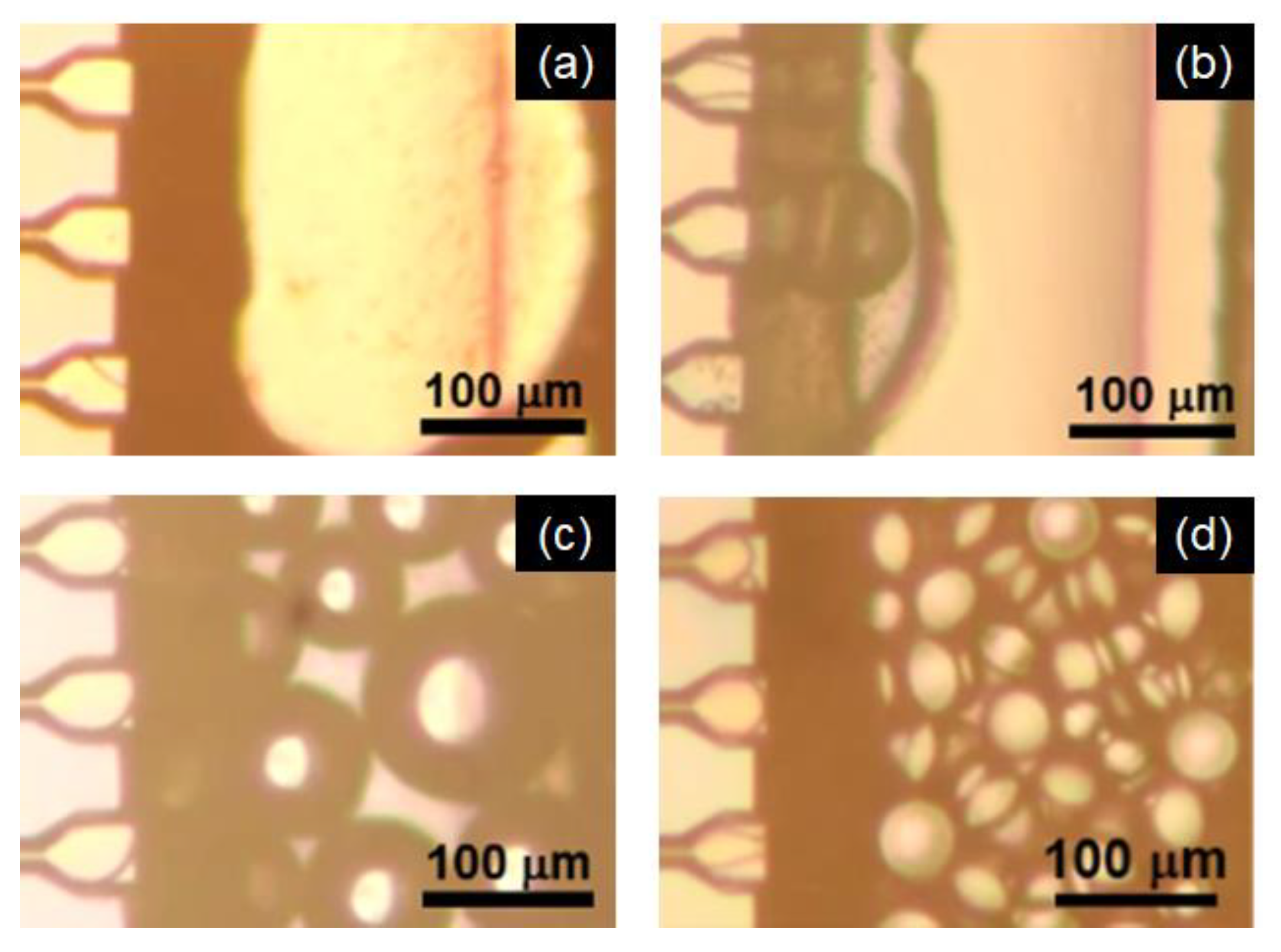 Molecules 25 04805 g003 Molecules 25 04805 g003