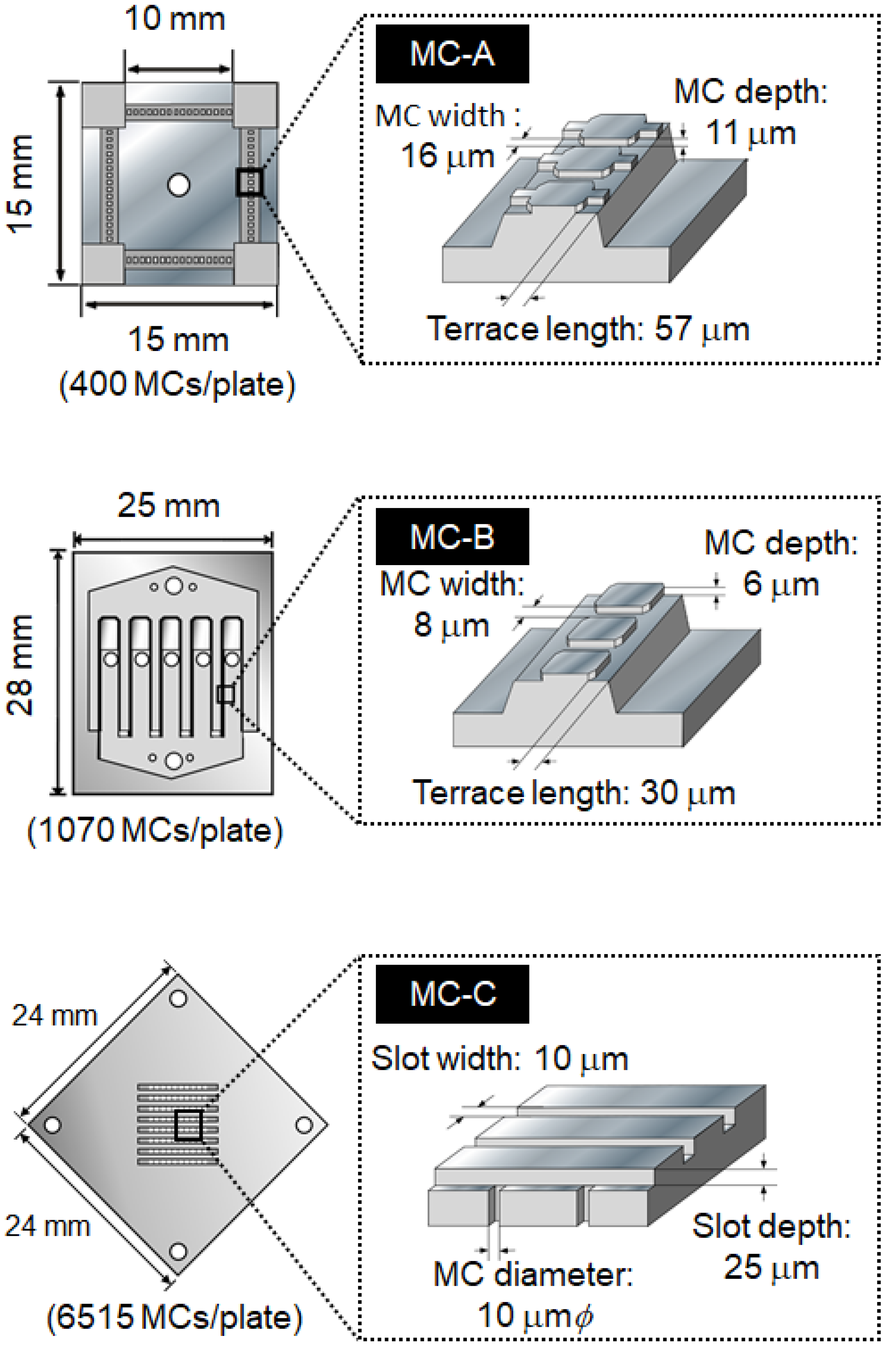 Molecules 25 04805 g009 Molecules 25 04805 g009