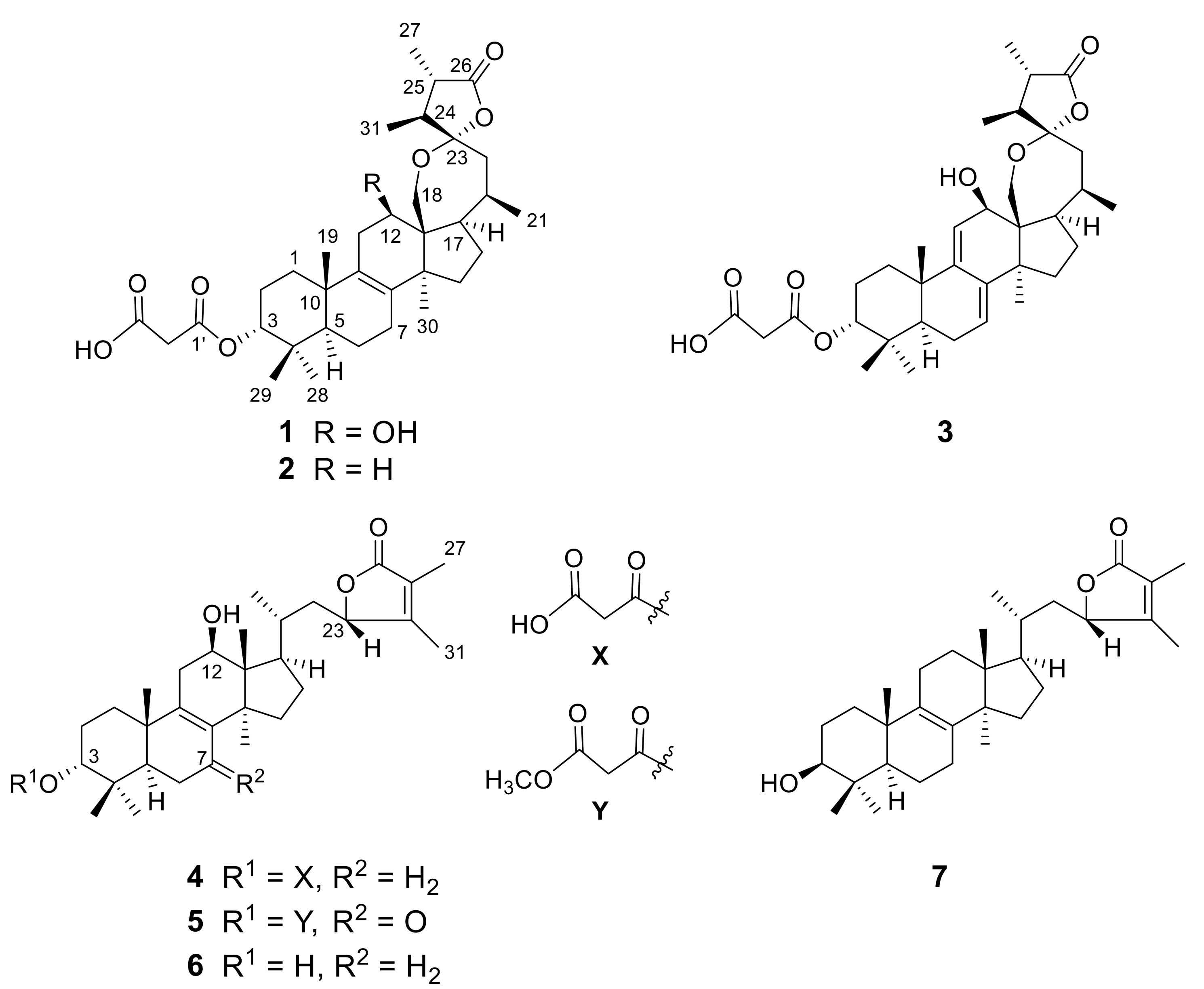 Molecules 25 04807 g001