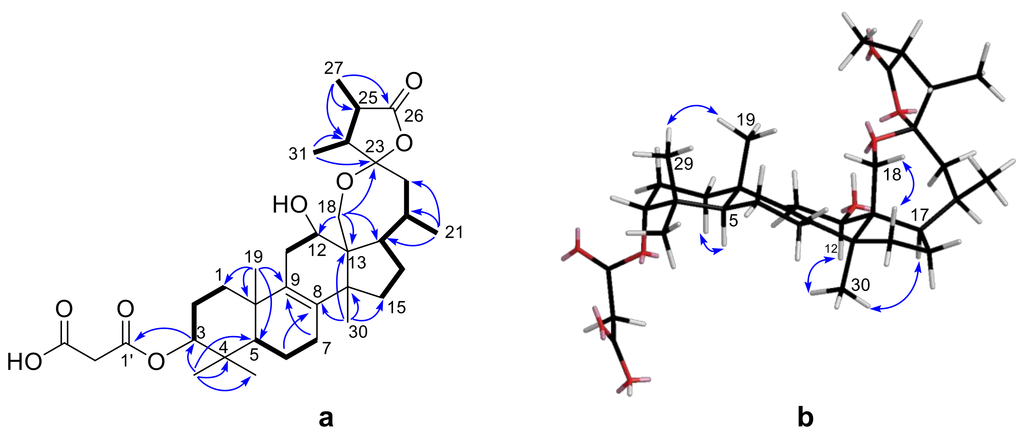 Molecules 25 04807 g002