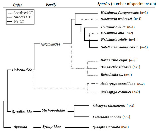 brusca and brusca invertebrates pdf writer brusca and brusca invertebrates pdf writer