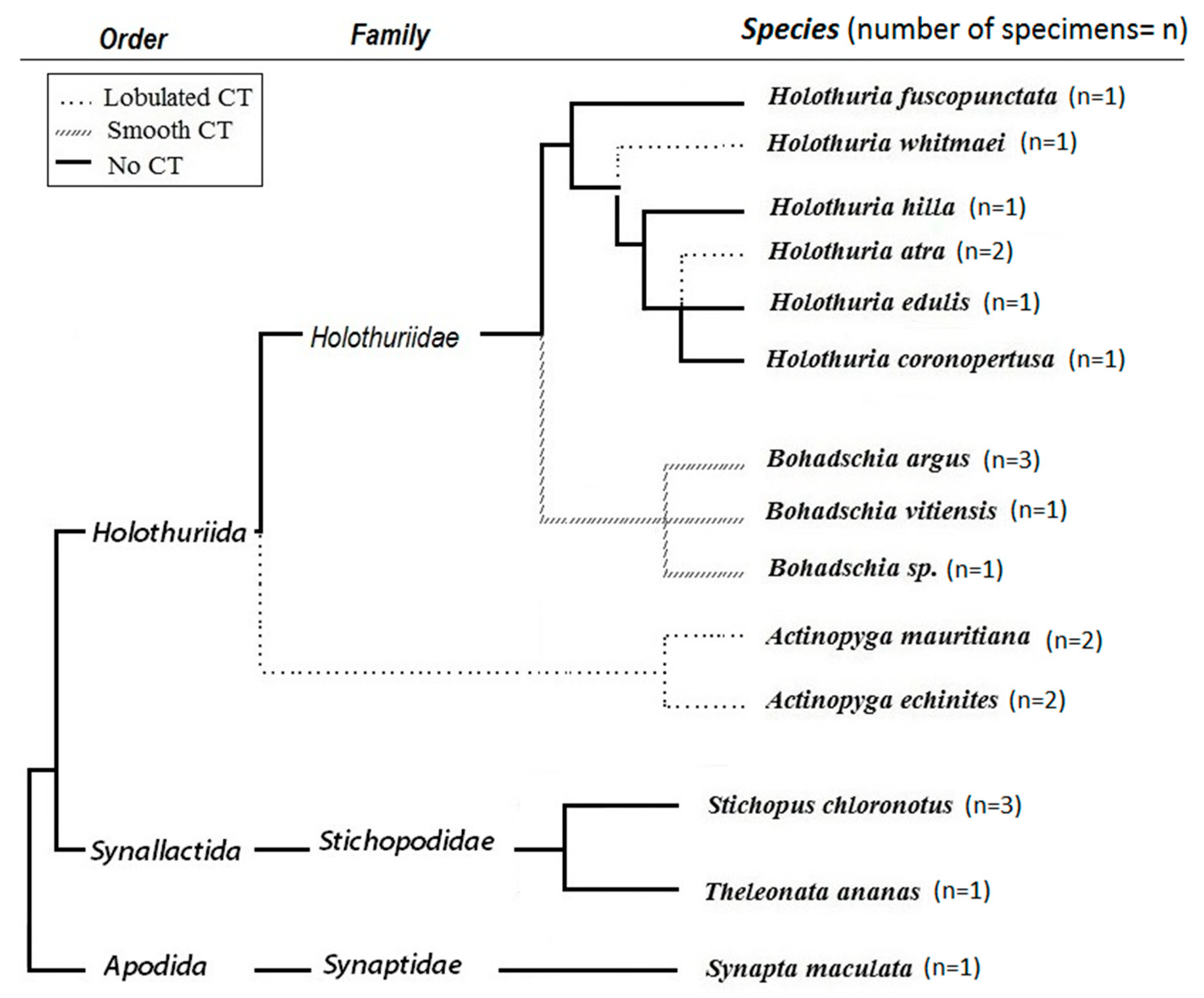 Molecules 25 04808 g001 Molecules 25 04808 g001