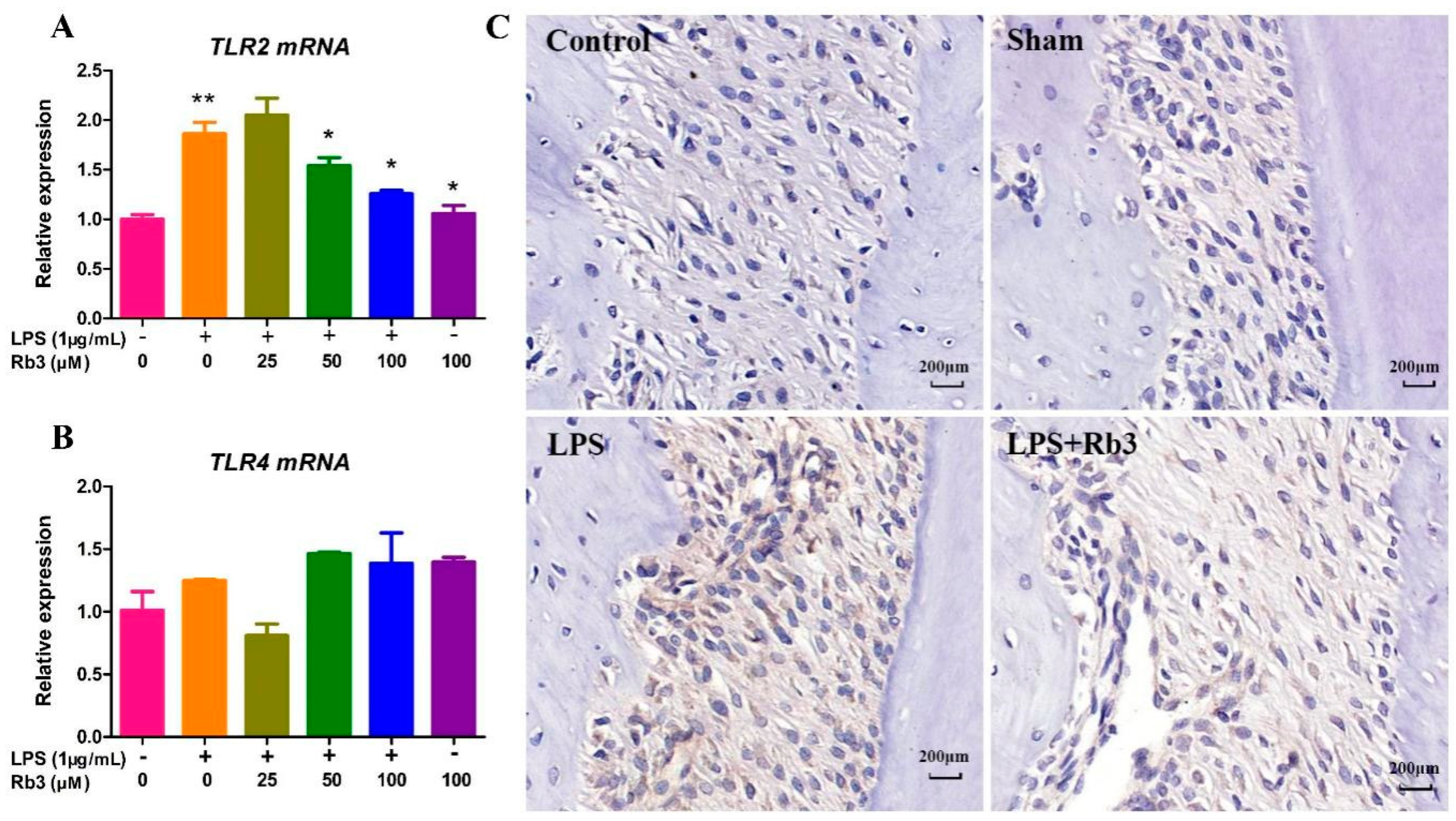 Molecules 25 04815 g005 Molecules 25 04815 g005