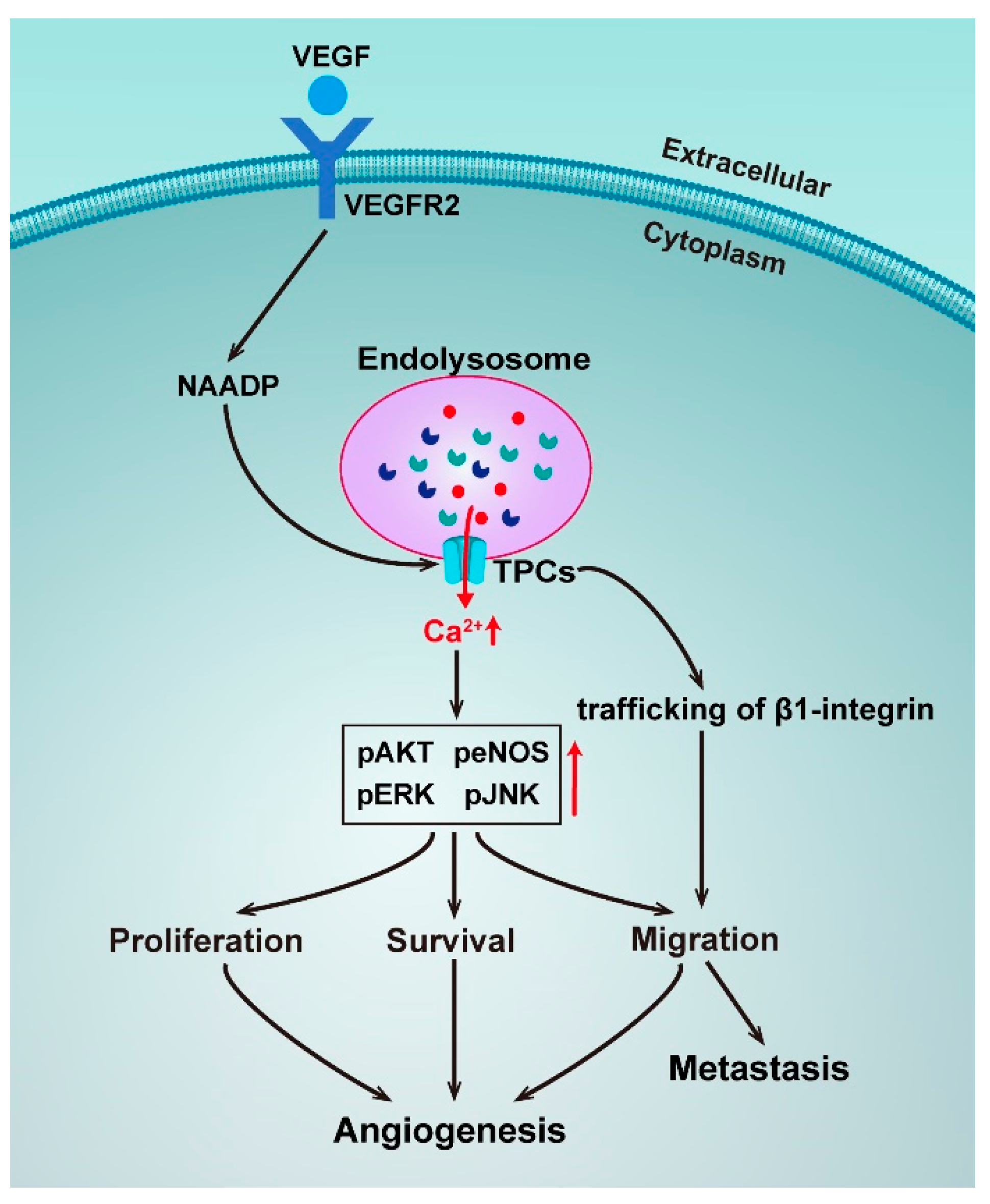 Molecules 25 04826 g003 Molecules 25 04826 g003