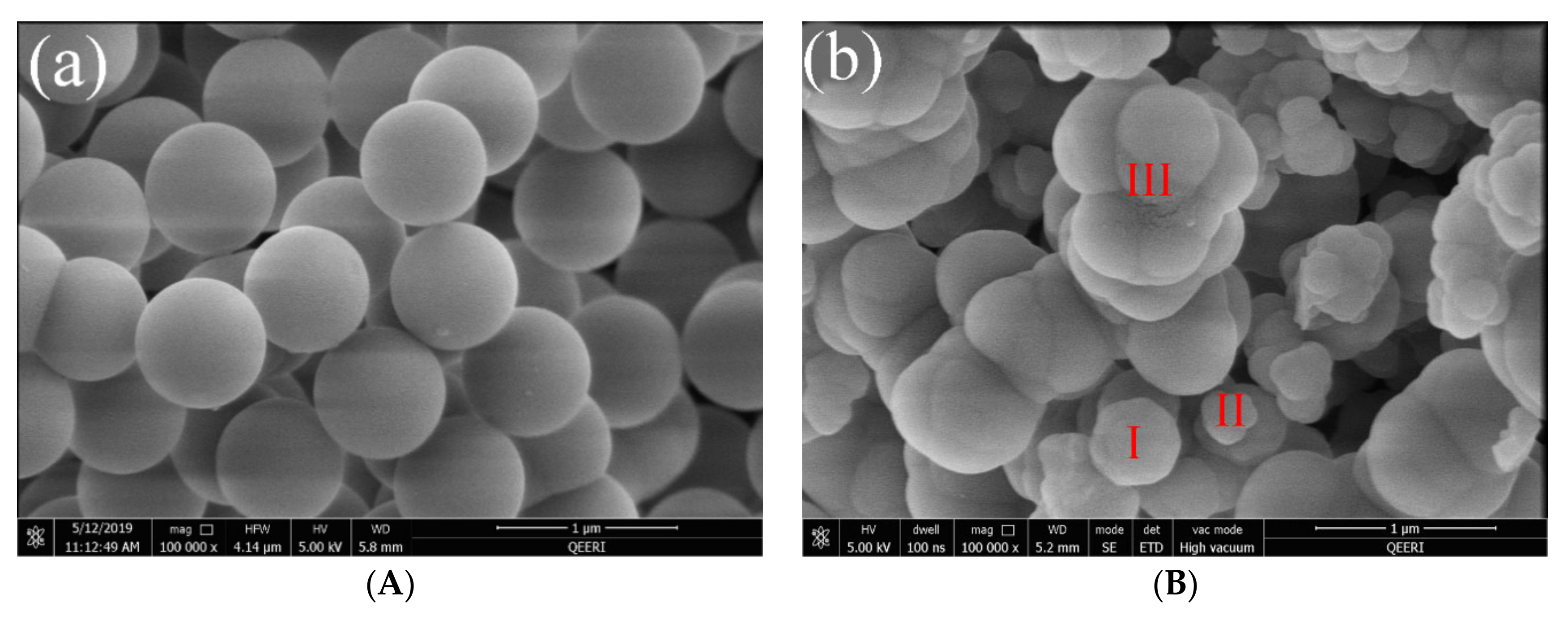 Molecules 25 04827 g007 Molecules 25 04827 g007