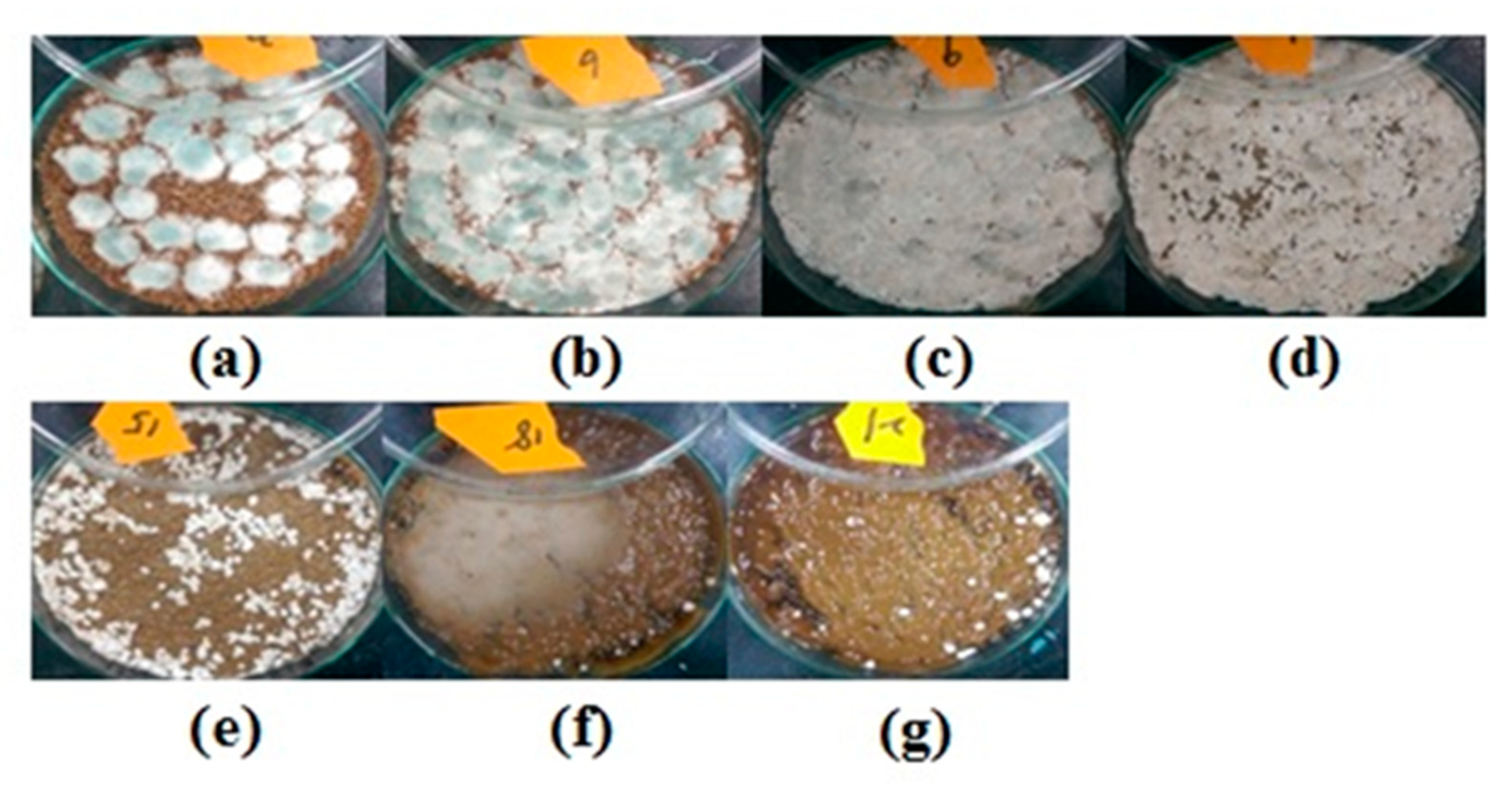 Molecules 25 04832 g003 Molecules 25 04832 g003