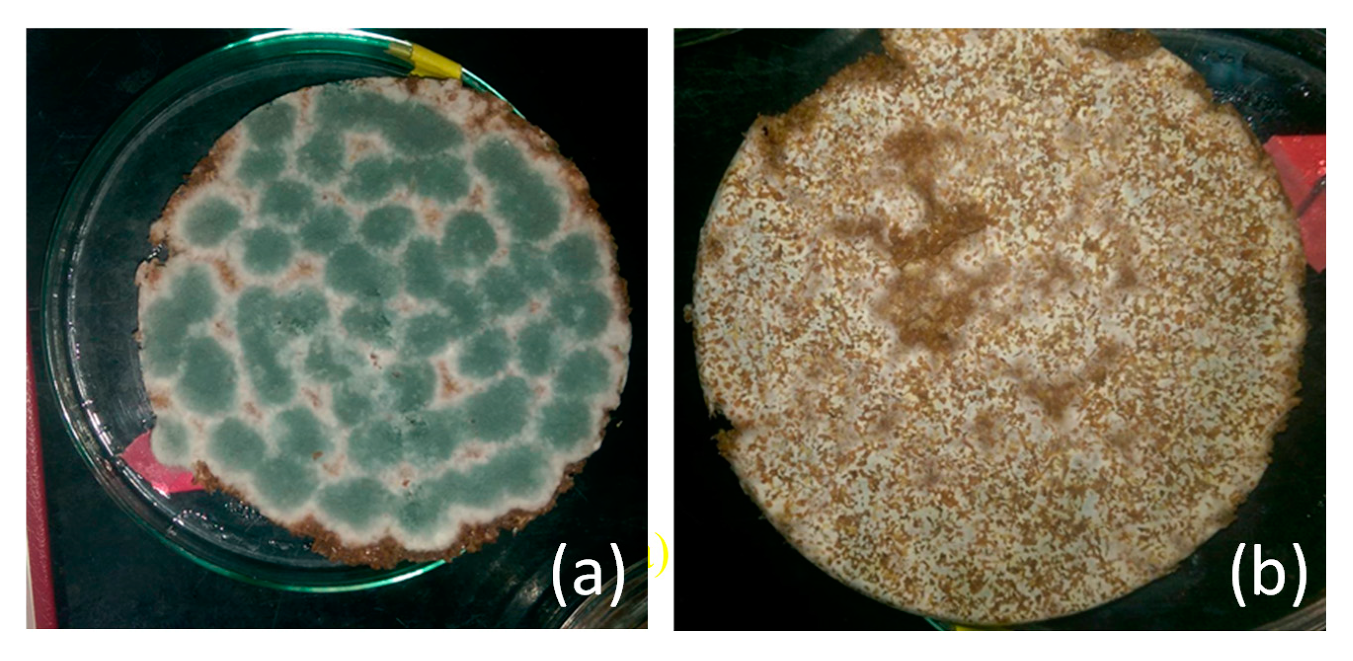Molecules 25 04832 g005 Molecules 25 04832 g005