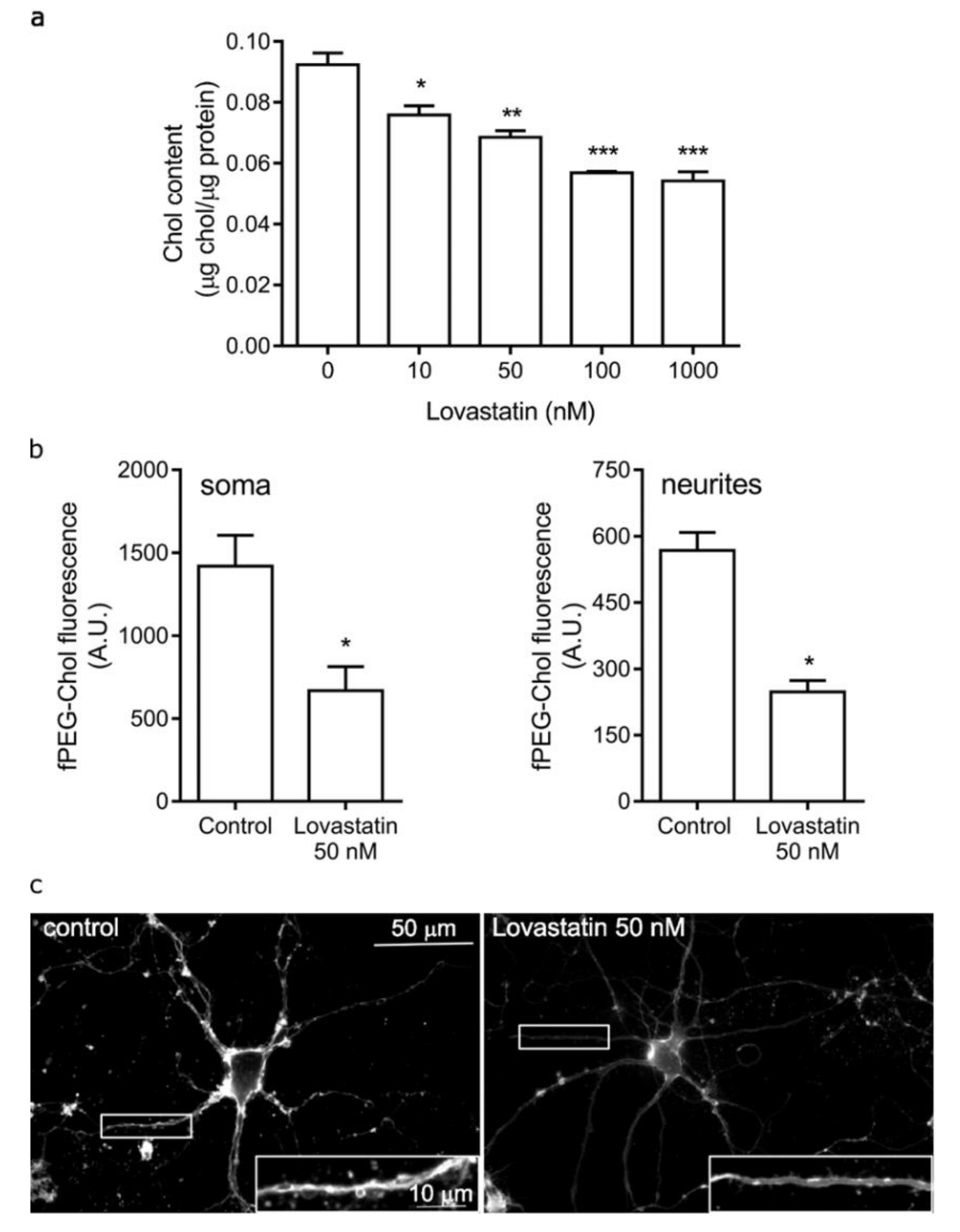 Molecules 25 04838 g001 Molecules 25 04838 g001
