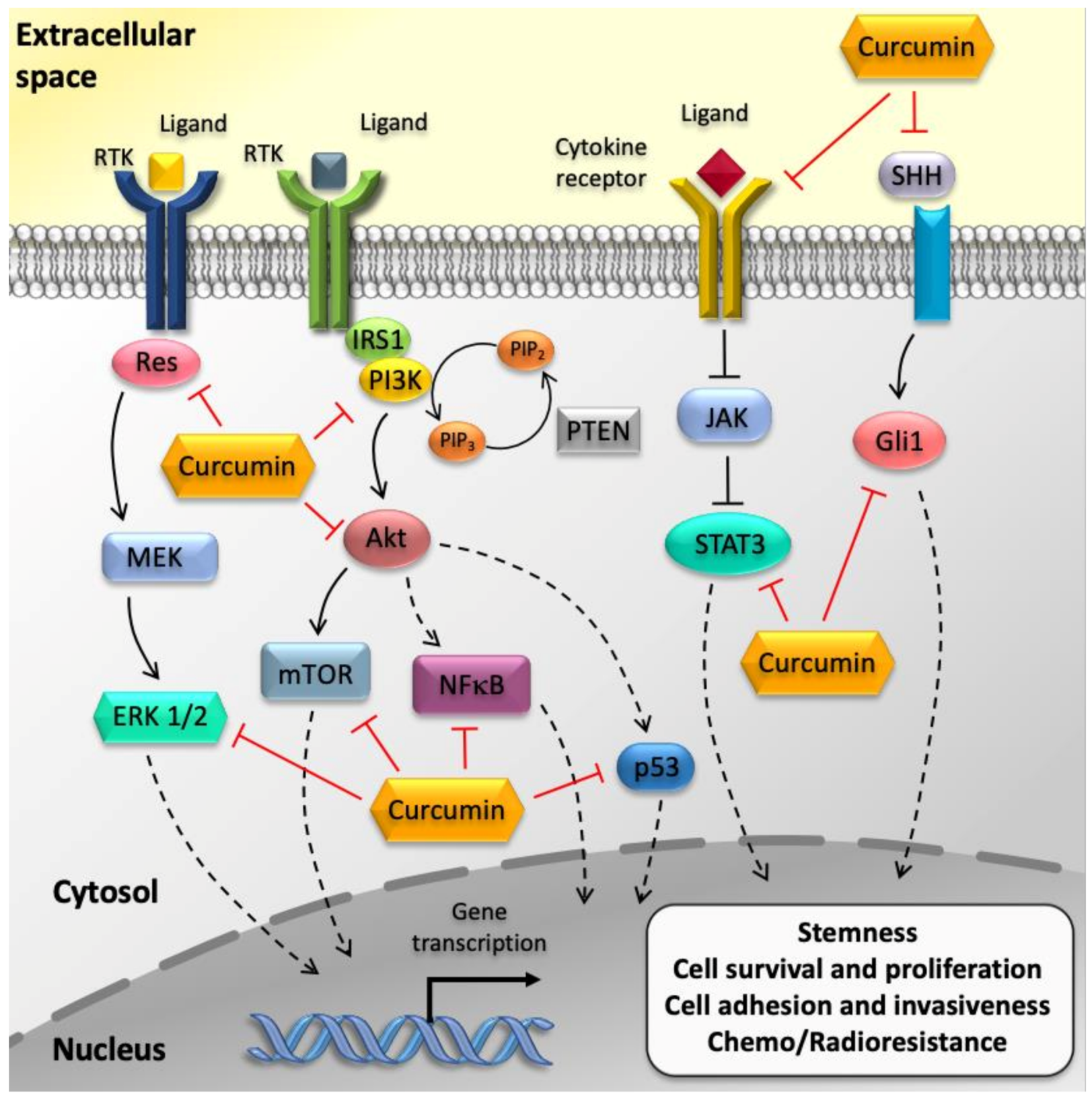 Molecules 25 04839 g002 Molecules 25 04839 g002