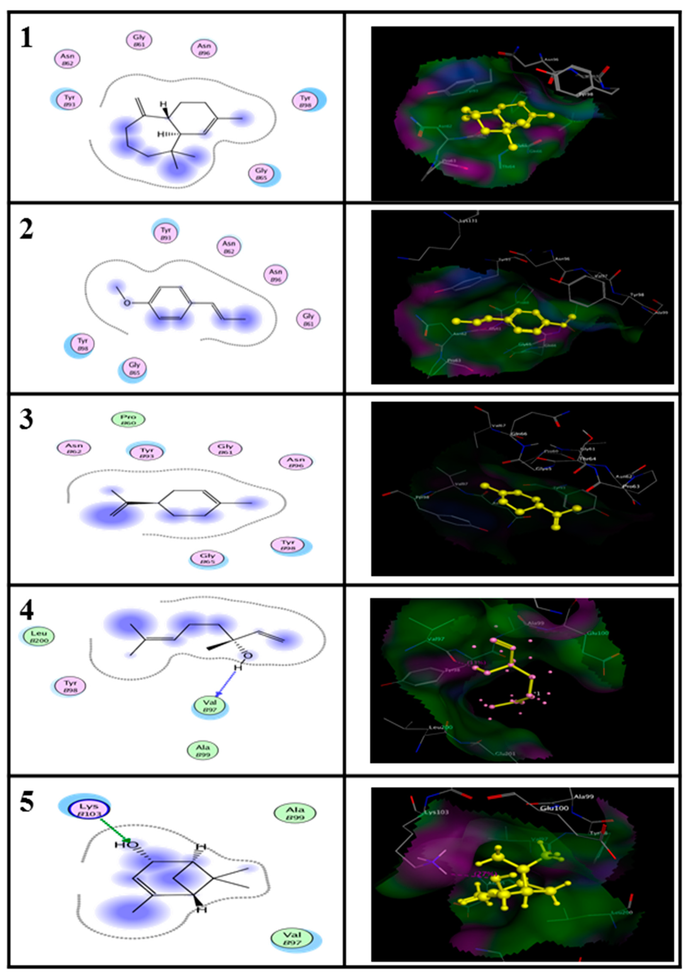 Molecules 25 04841 g004
