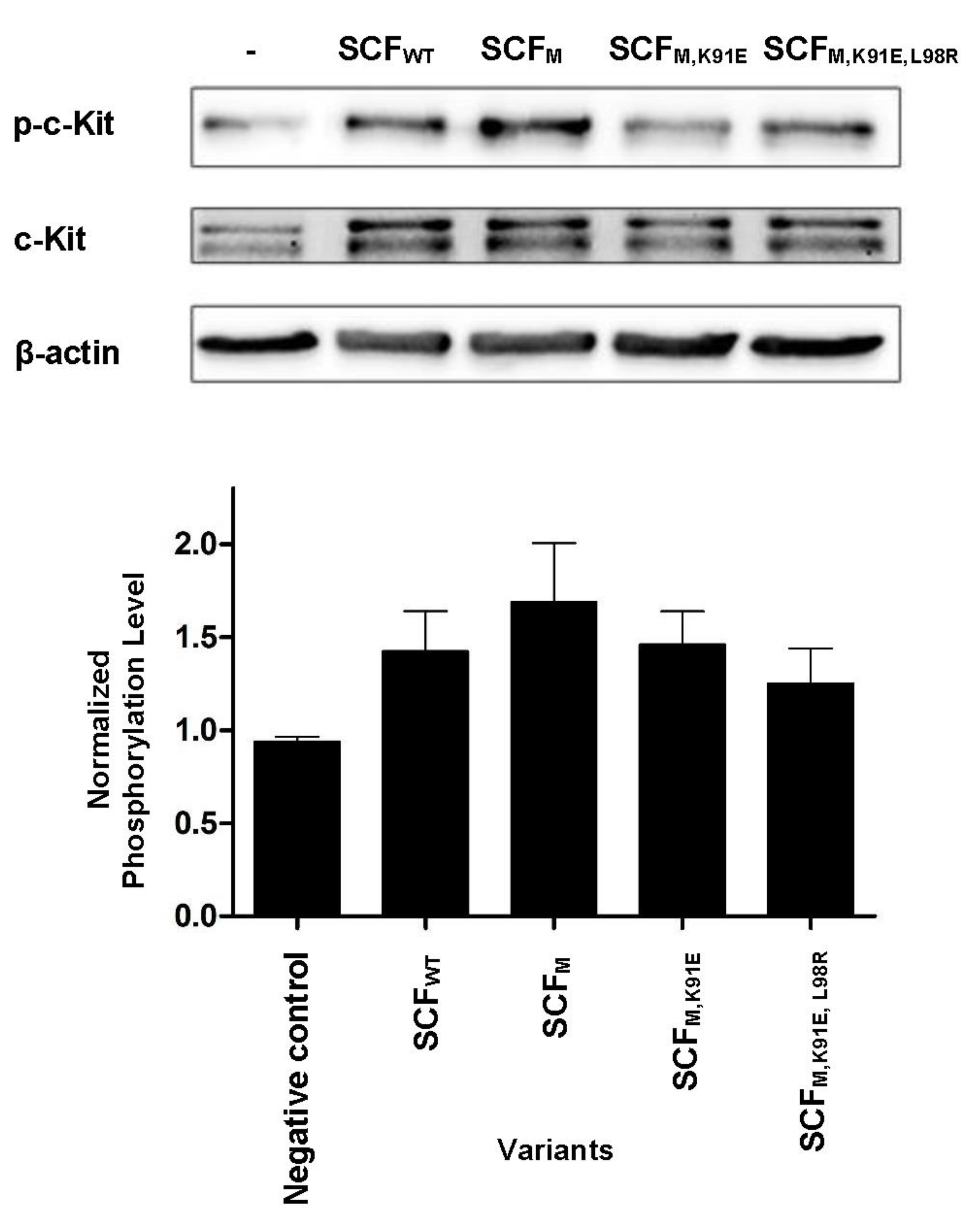 Molecules 25 04850 g005 Molecules 25 04850 g005