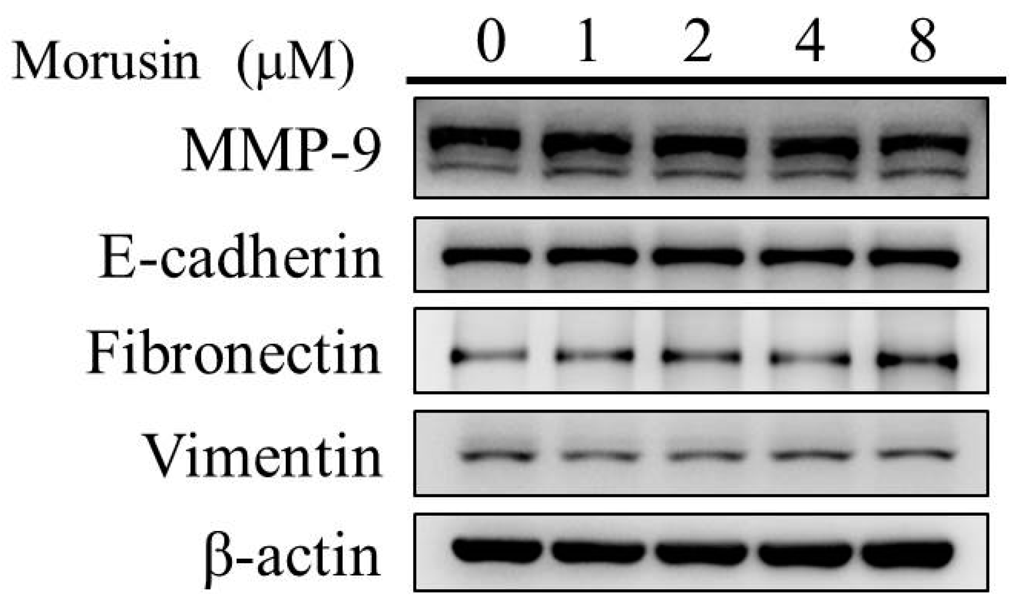 Molecules 25 04851 g0a1