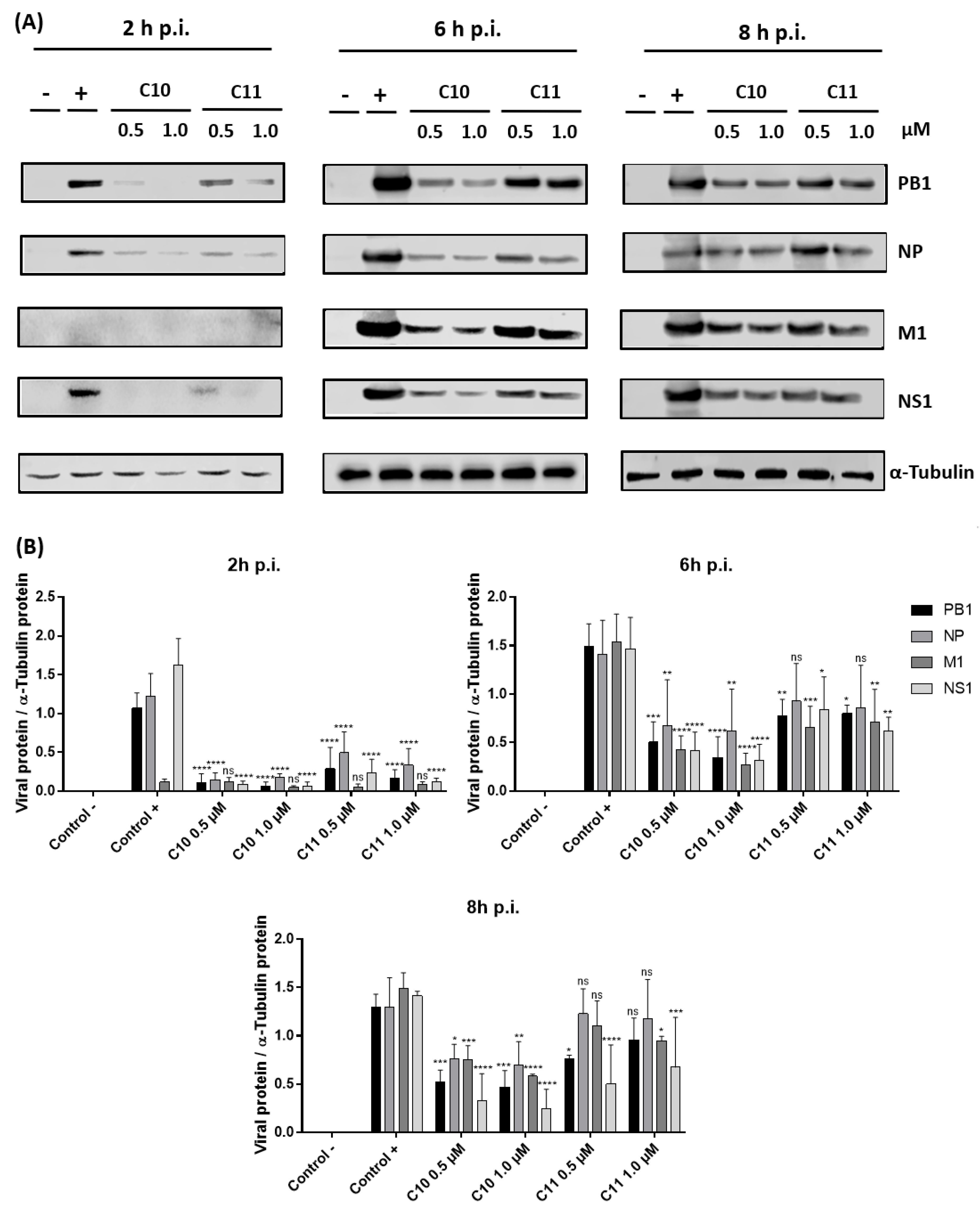 Molecules 25 04853 g003 Molecules 25 04853 g003