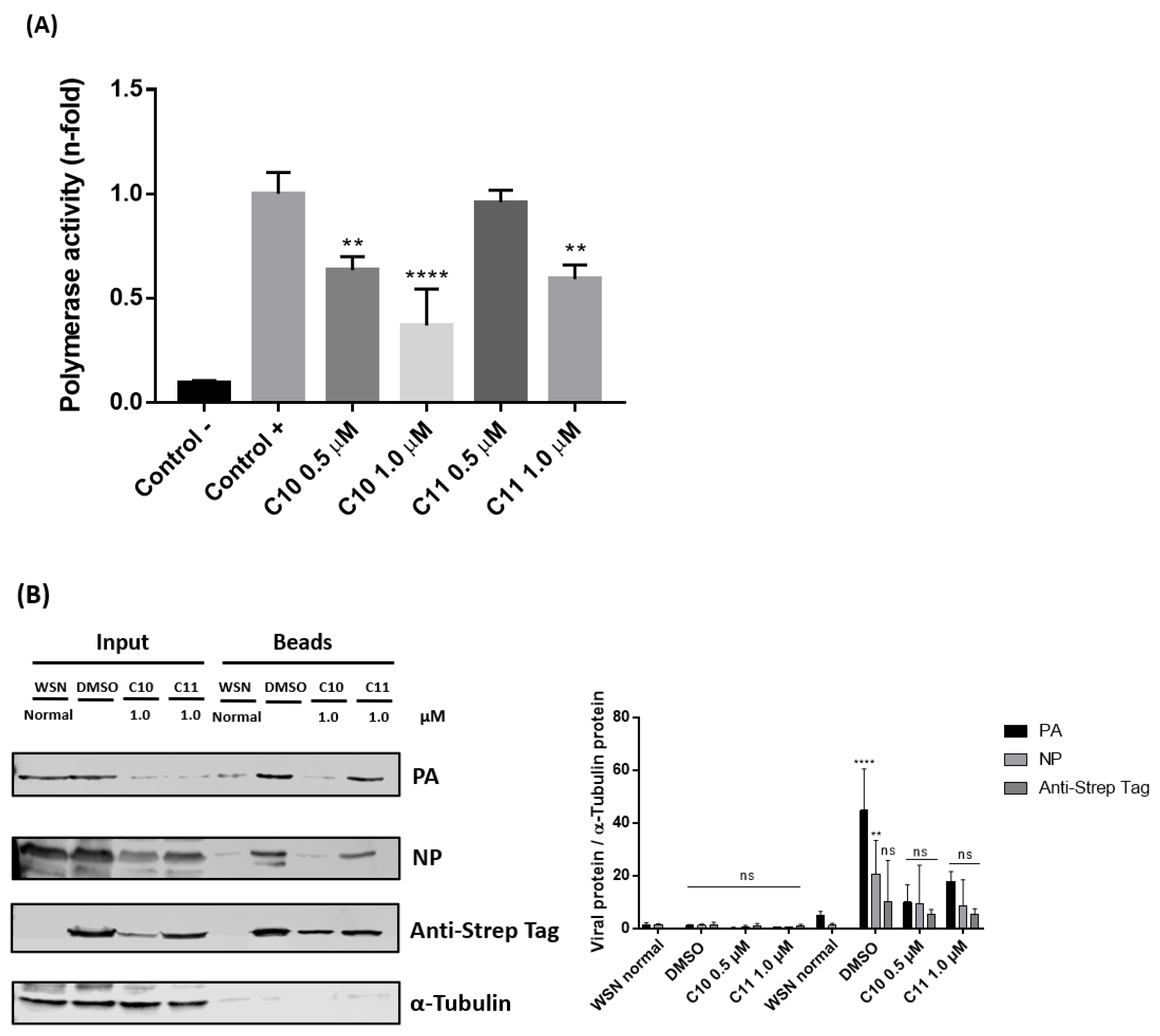 Molecules 25 04853 g005 Molecules 25 04853 g005