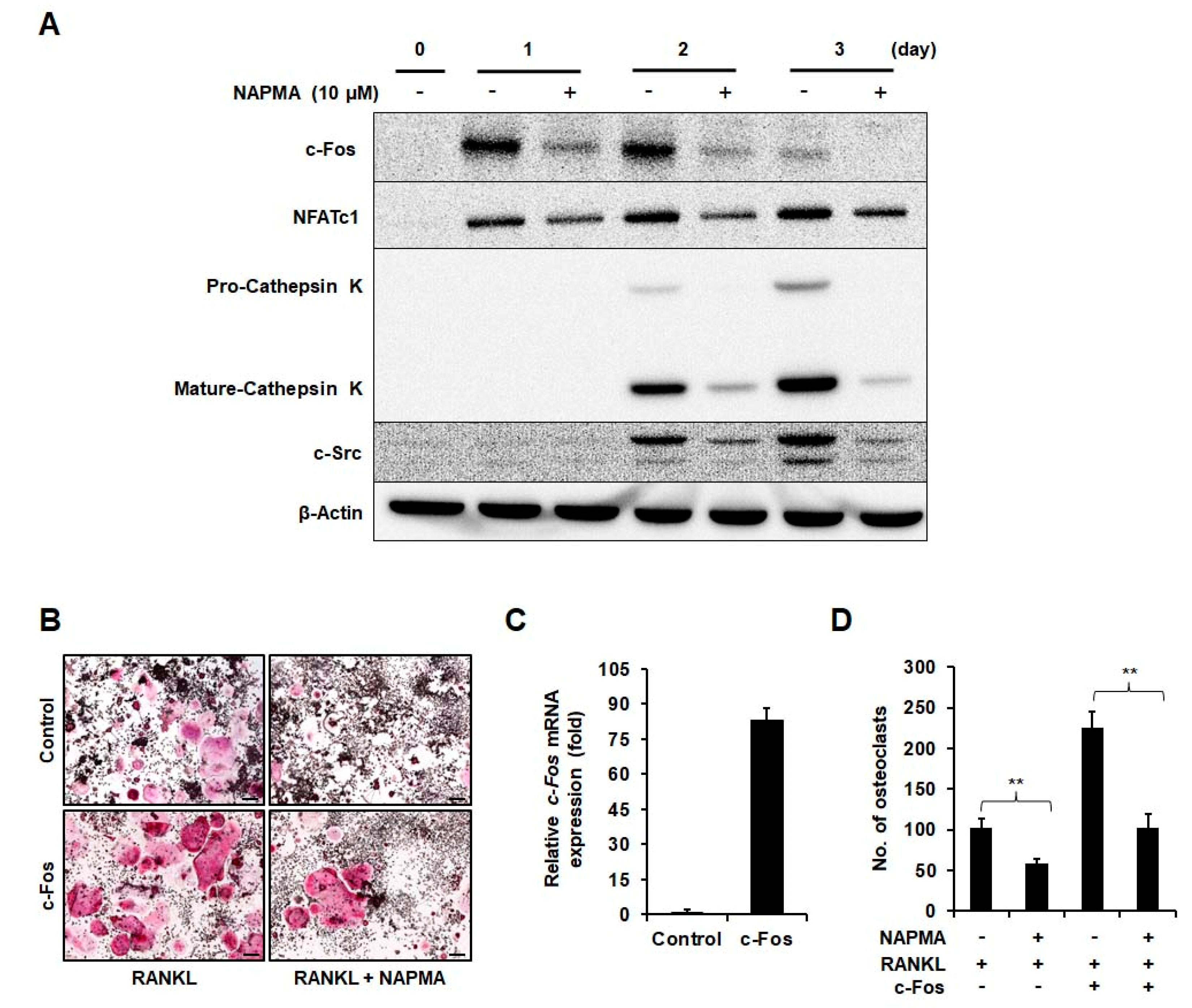 Molecules 25 04855 g003