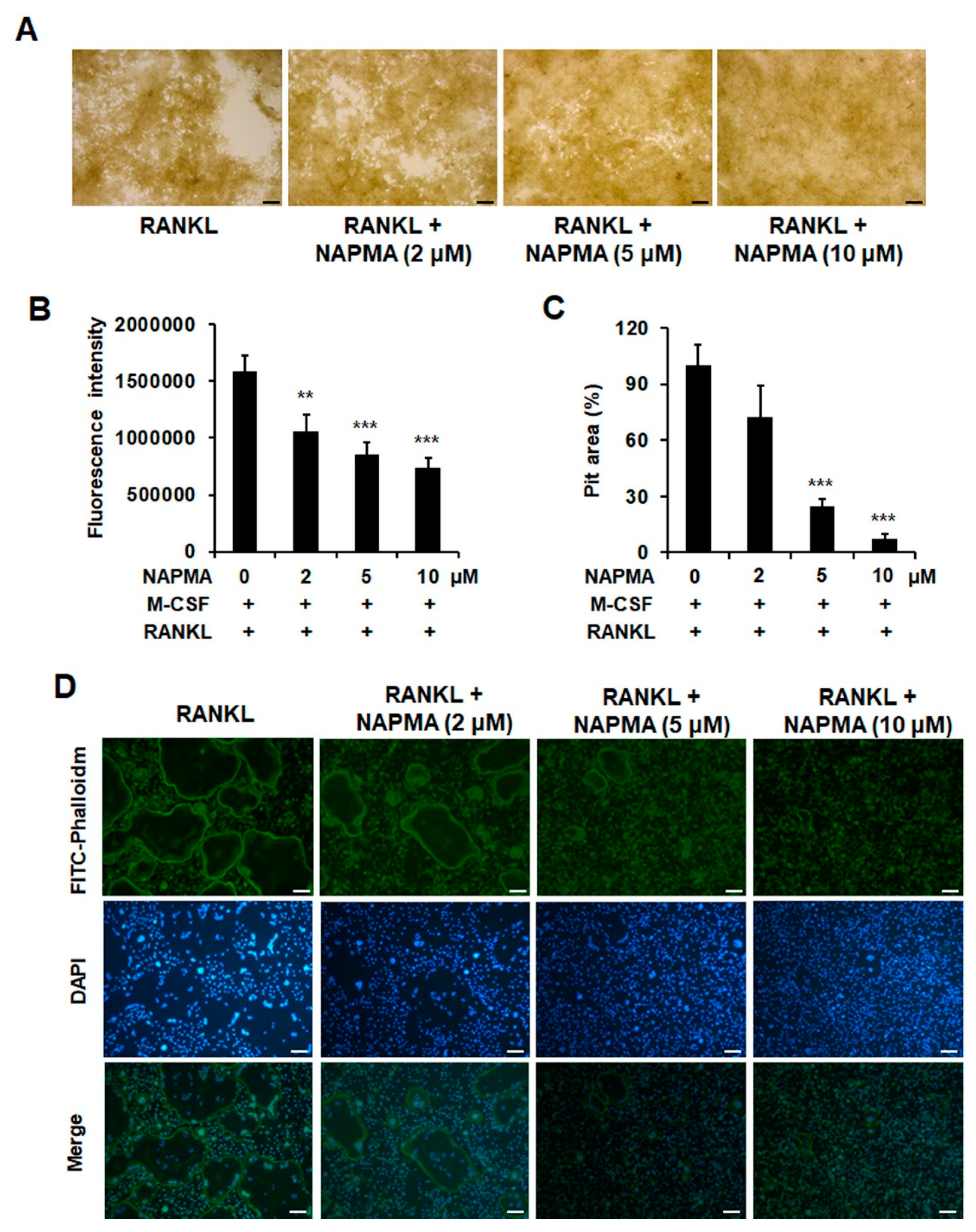 Molecules 25 04855 g004