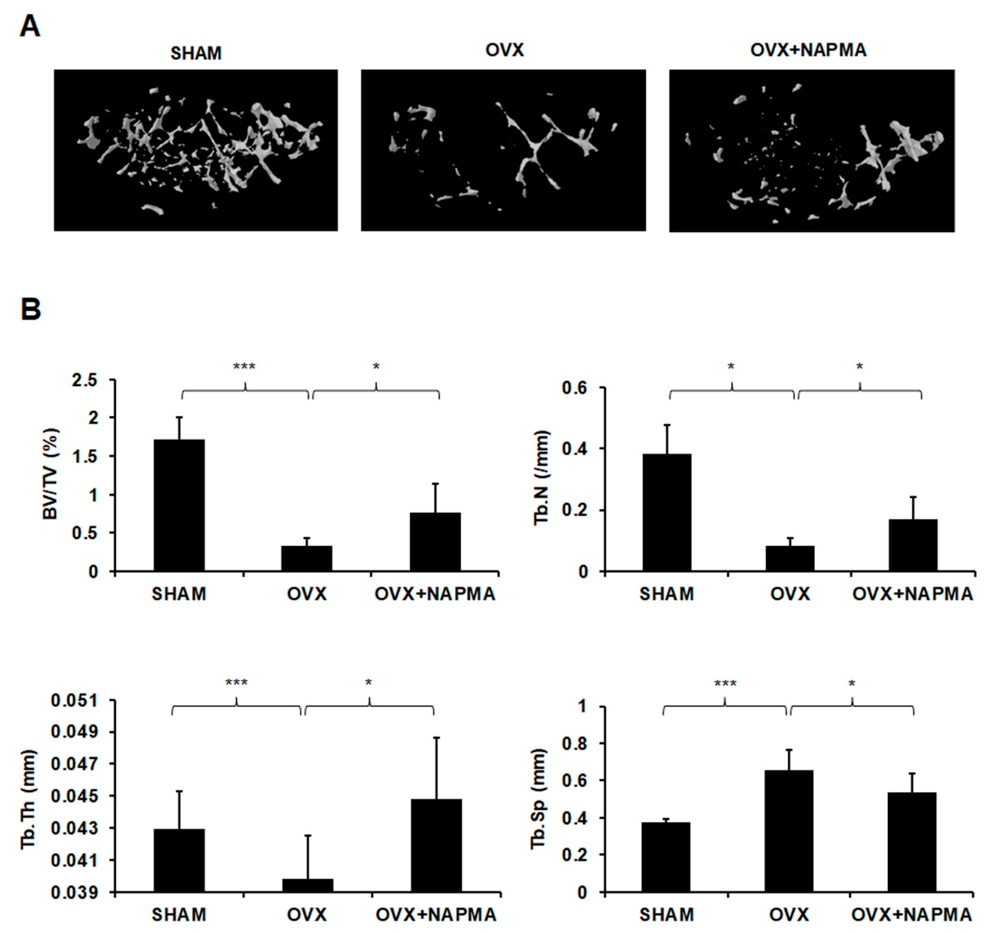 Molecules 25 04855 g005