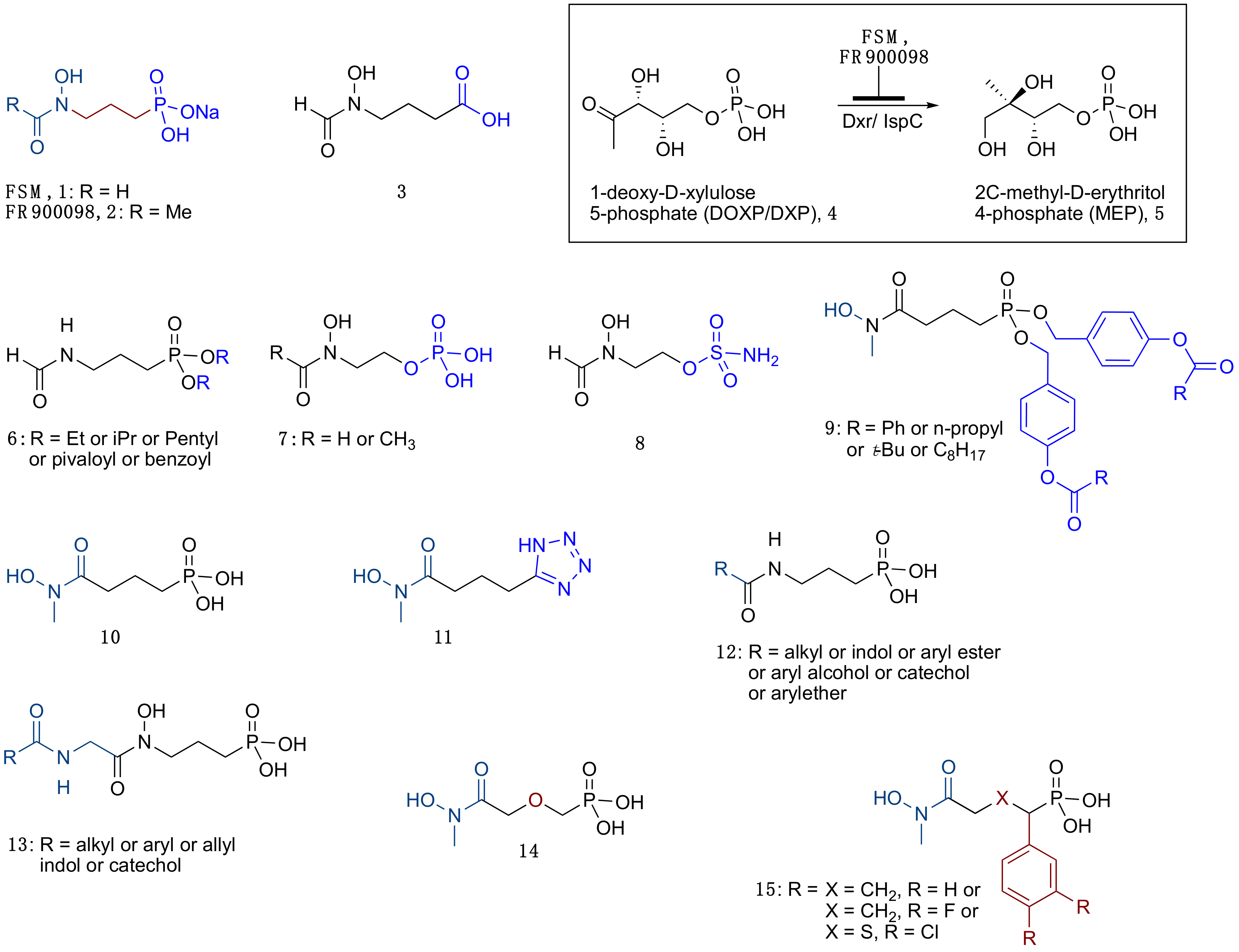 Molecules 25 04858 g001