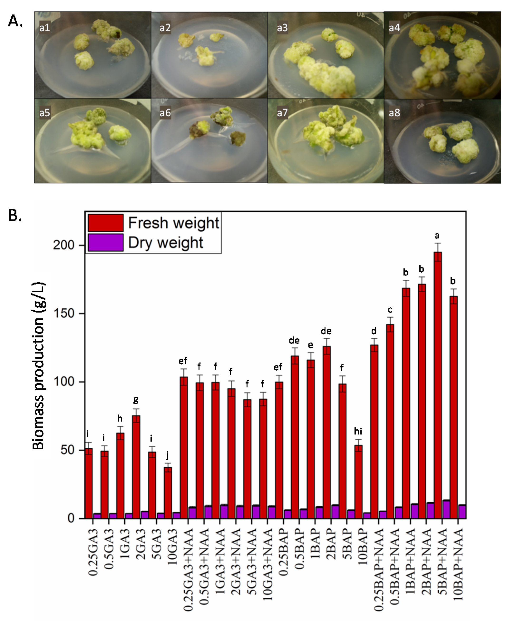 Molecules 25 04859 g001
