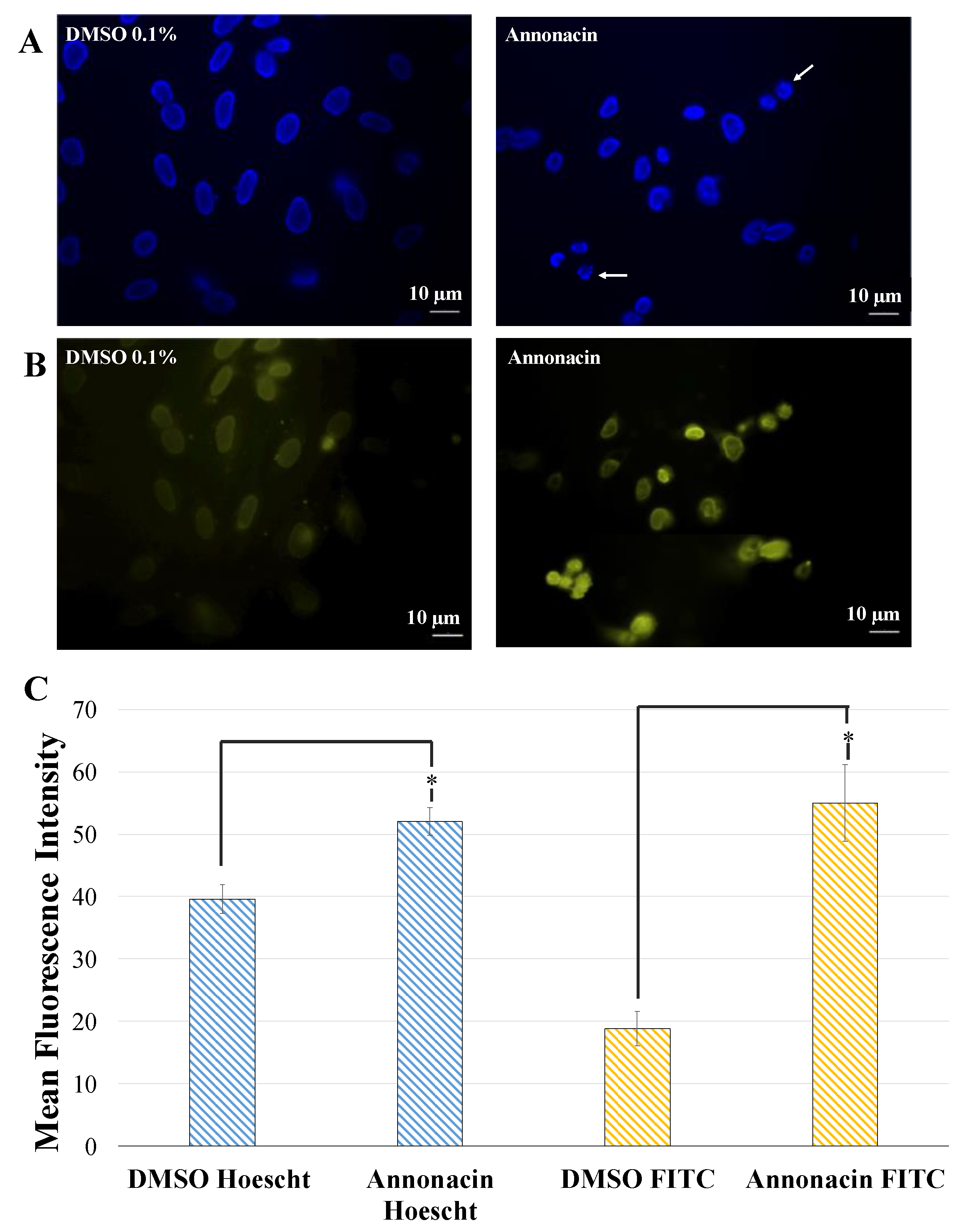 Molecules 25 04861 g005 Molecules 25 04861 g005