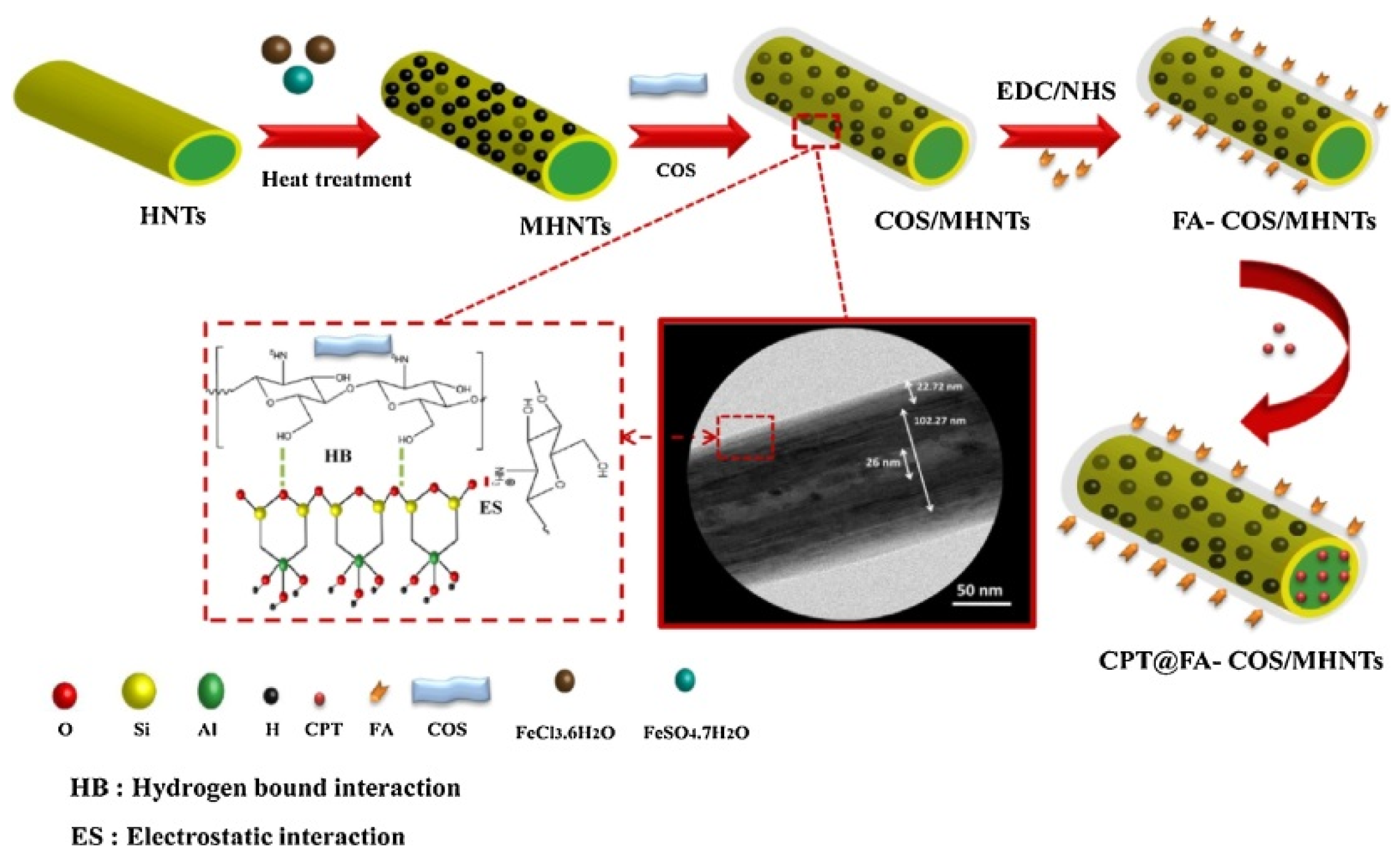 Molecules 25 04863 g007 Molecules 25 04863 g007