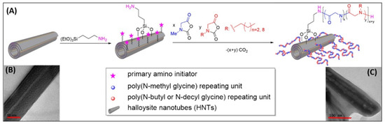 molecules october 2 2020 browse articles molecules october 2 2020 browse articles