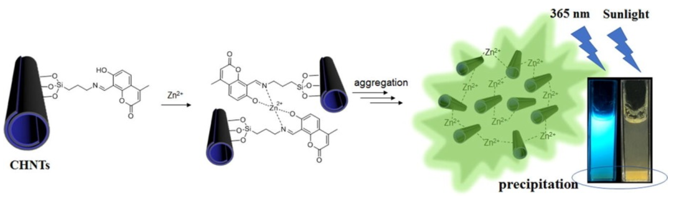Molecules 25 04863 g011 Molecules 25 04863 g011