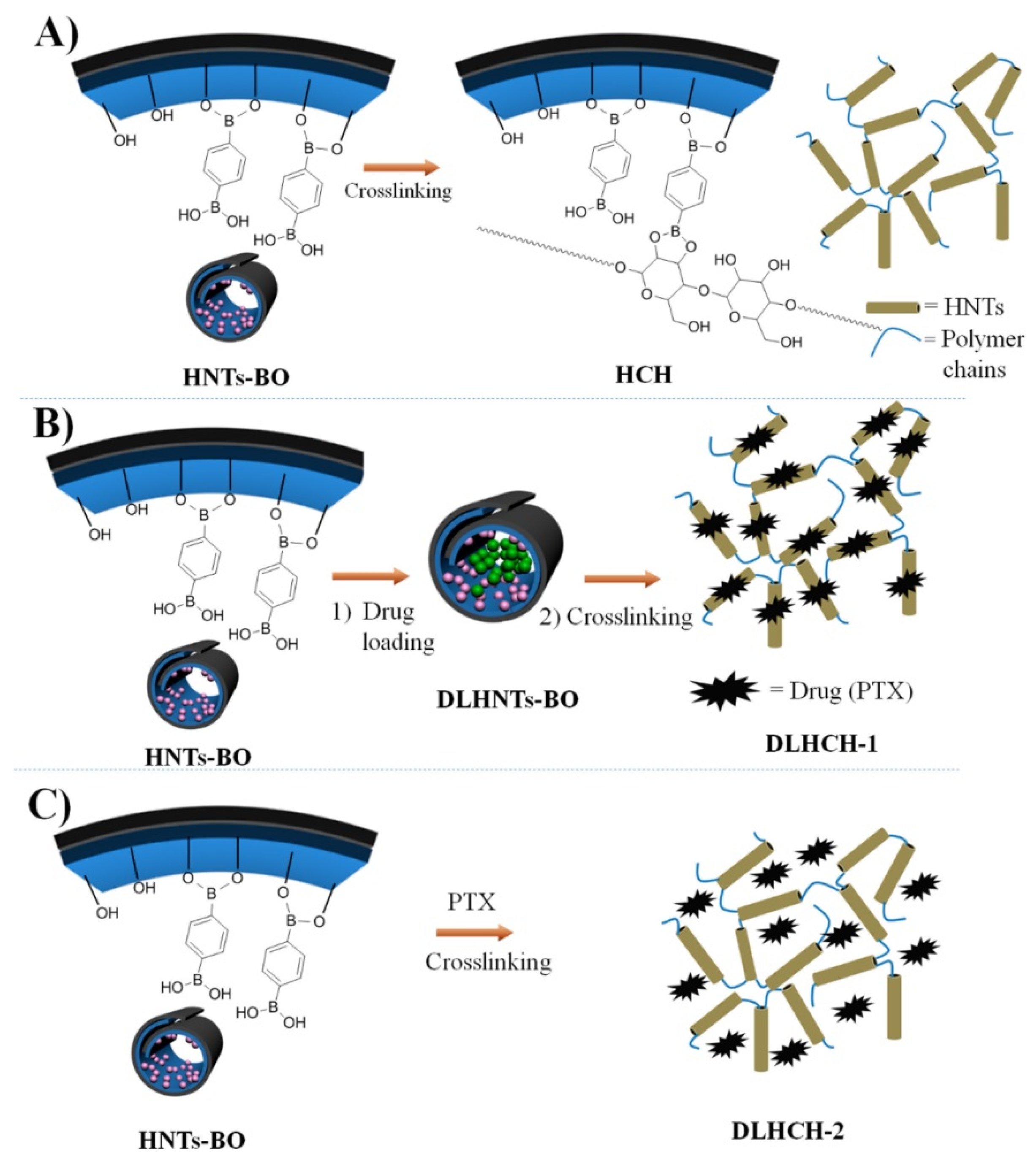 Molecules 25 04863 g025 Molecules 25 04863 g025
