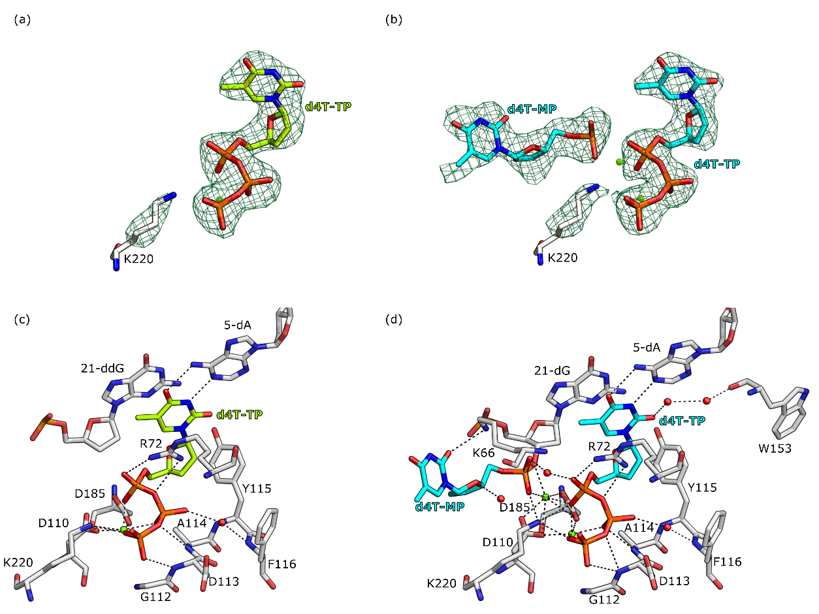 Molecules 25 04868 g003 Molecules 25 04868 g003