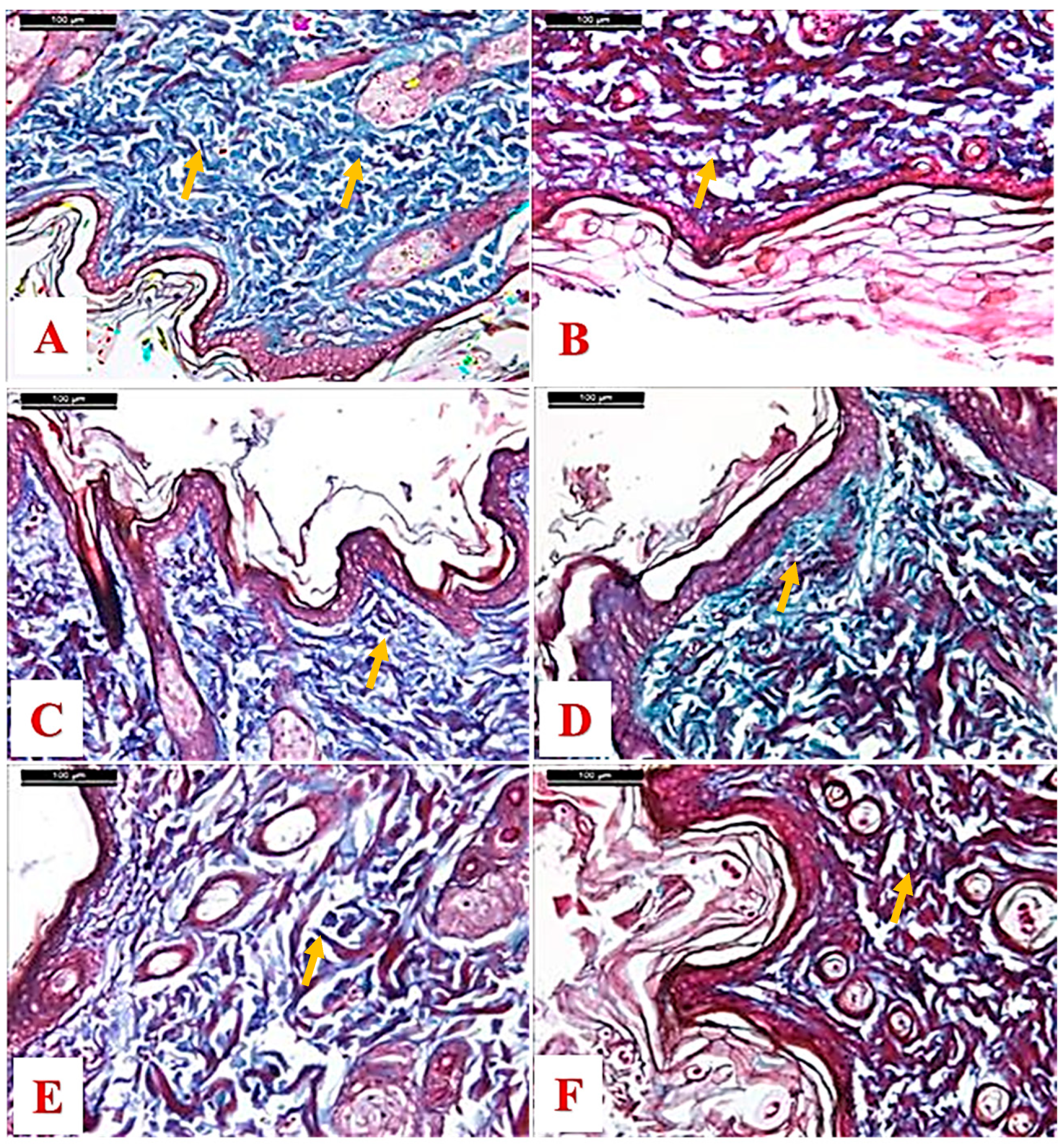 Molecules 25 04870 g004 Molecules 25 04870 g004
