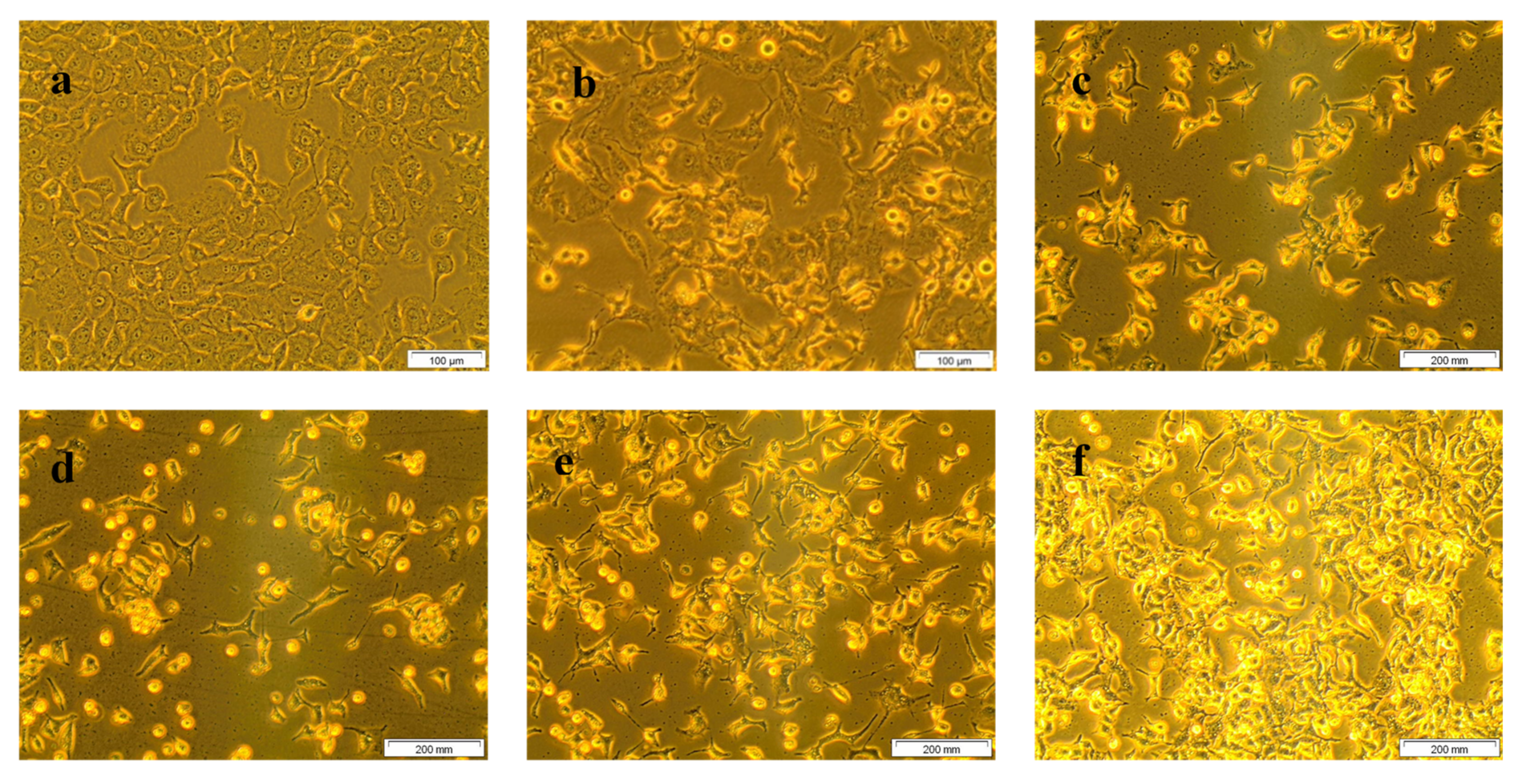Molecules 25 04874 g002 Molecules 25 04874 g002