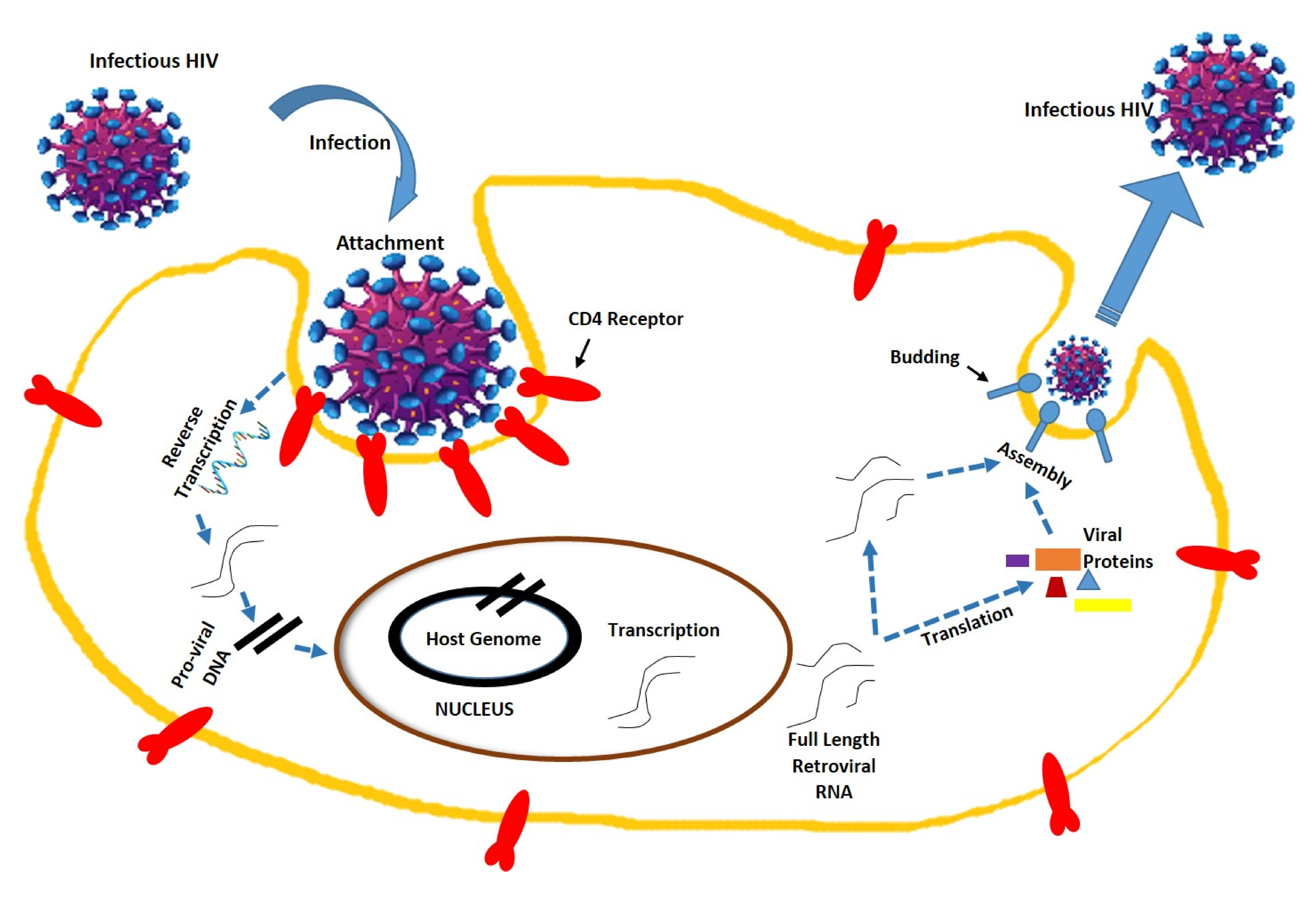 Molecules 25 04878 g001 Molecules 25 04878 g001
