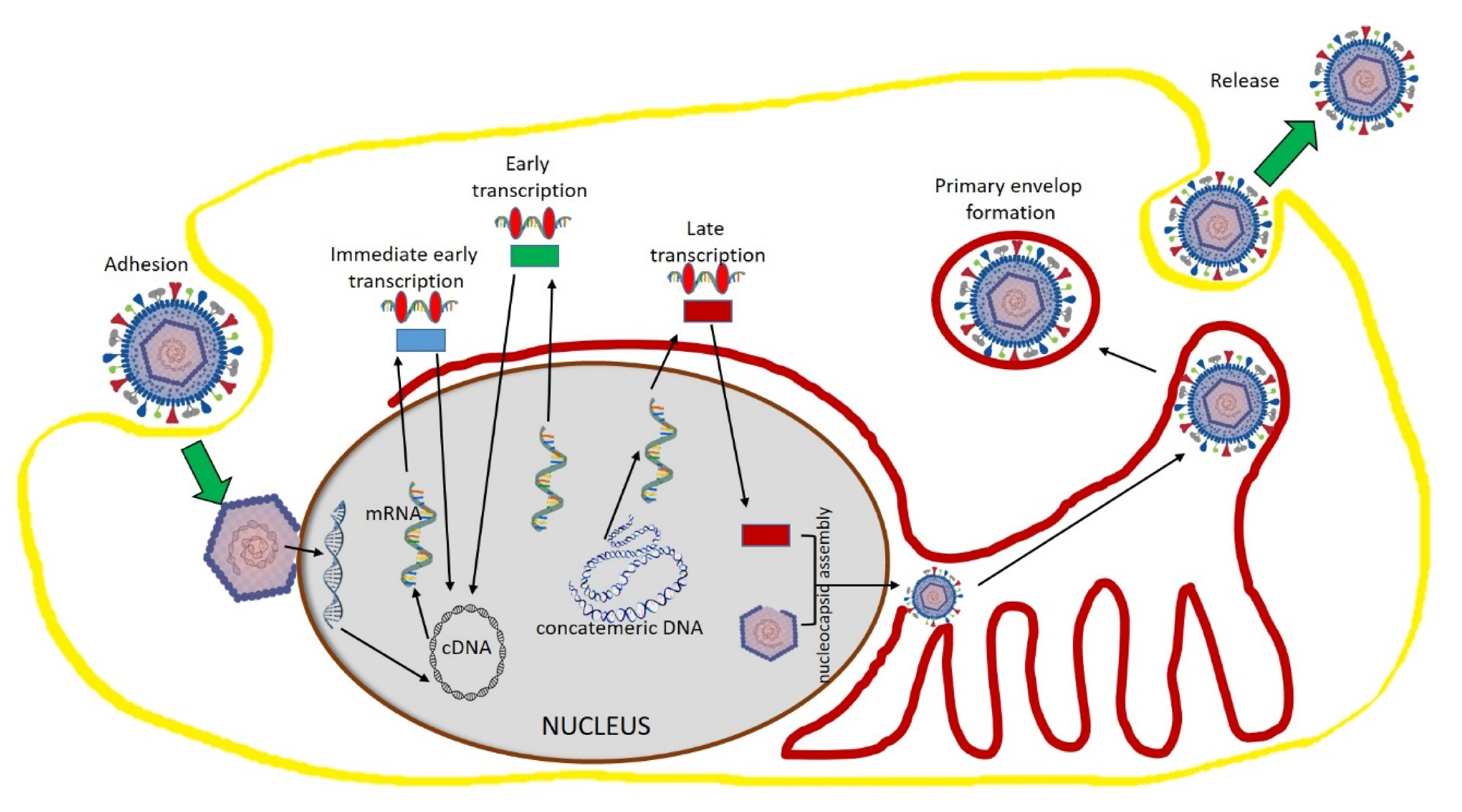 Molecules 25 04878 g002 Molecules 25 04878 g002