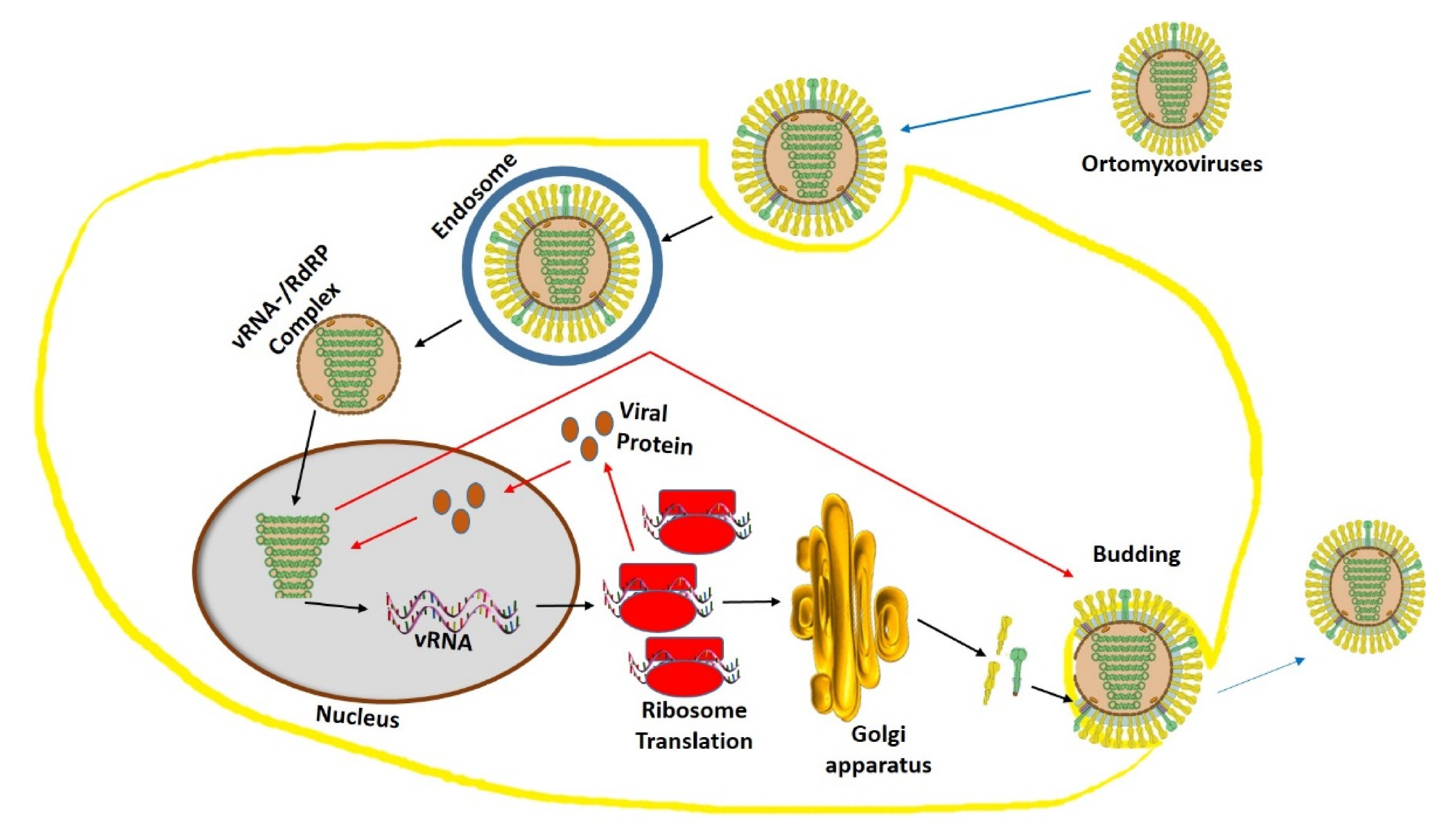 Molecules 25 04878 g003 Molecules 25 04878 g003