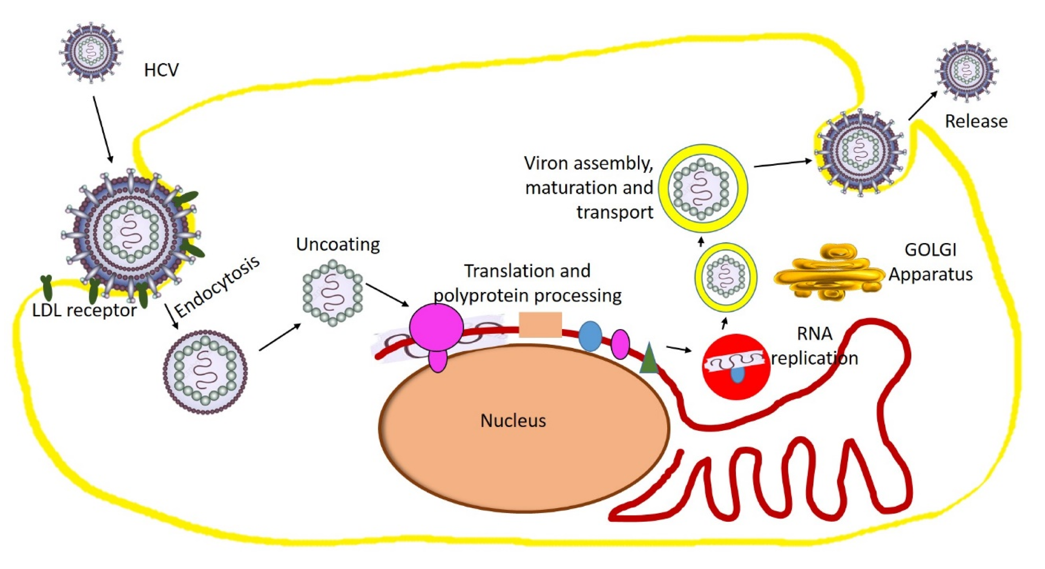 Molecules 25 04878 g004 Molecules 25 04878 g004