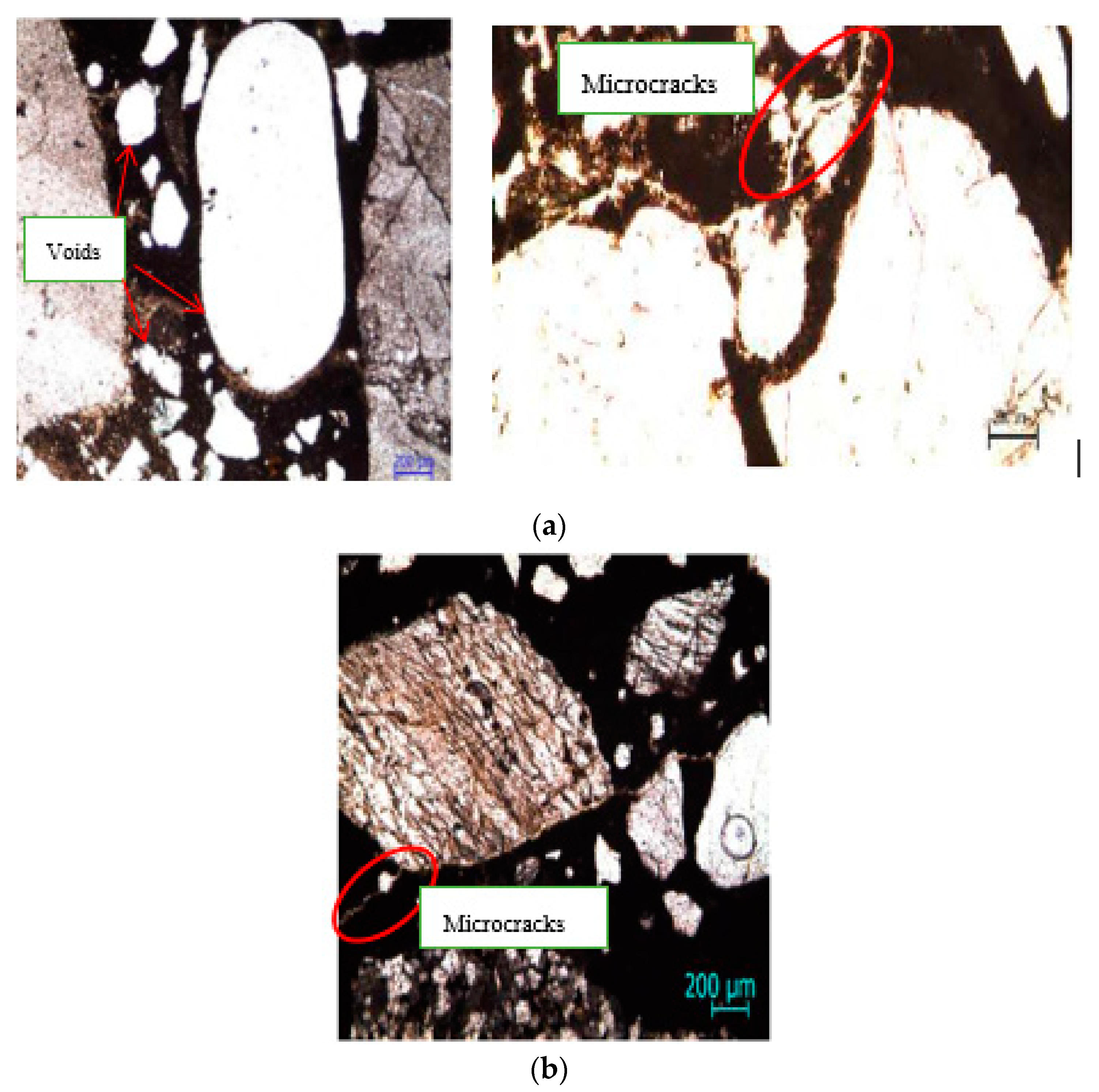 Molecules 25 04880 g008 Molecules 25 04880 g008
