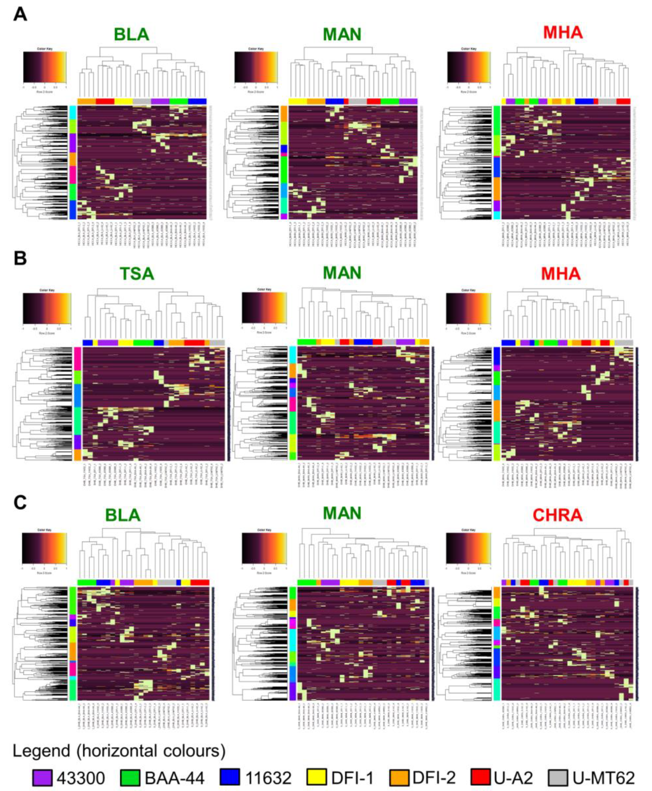 Molecules 25 04894 g002
