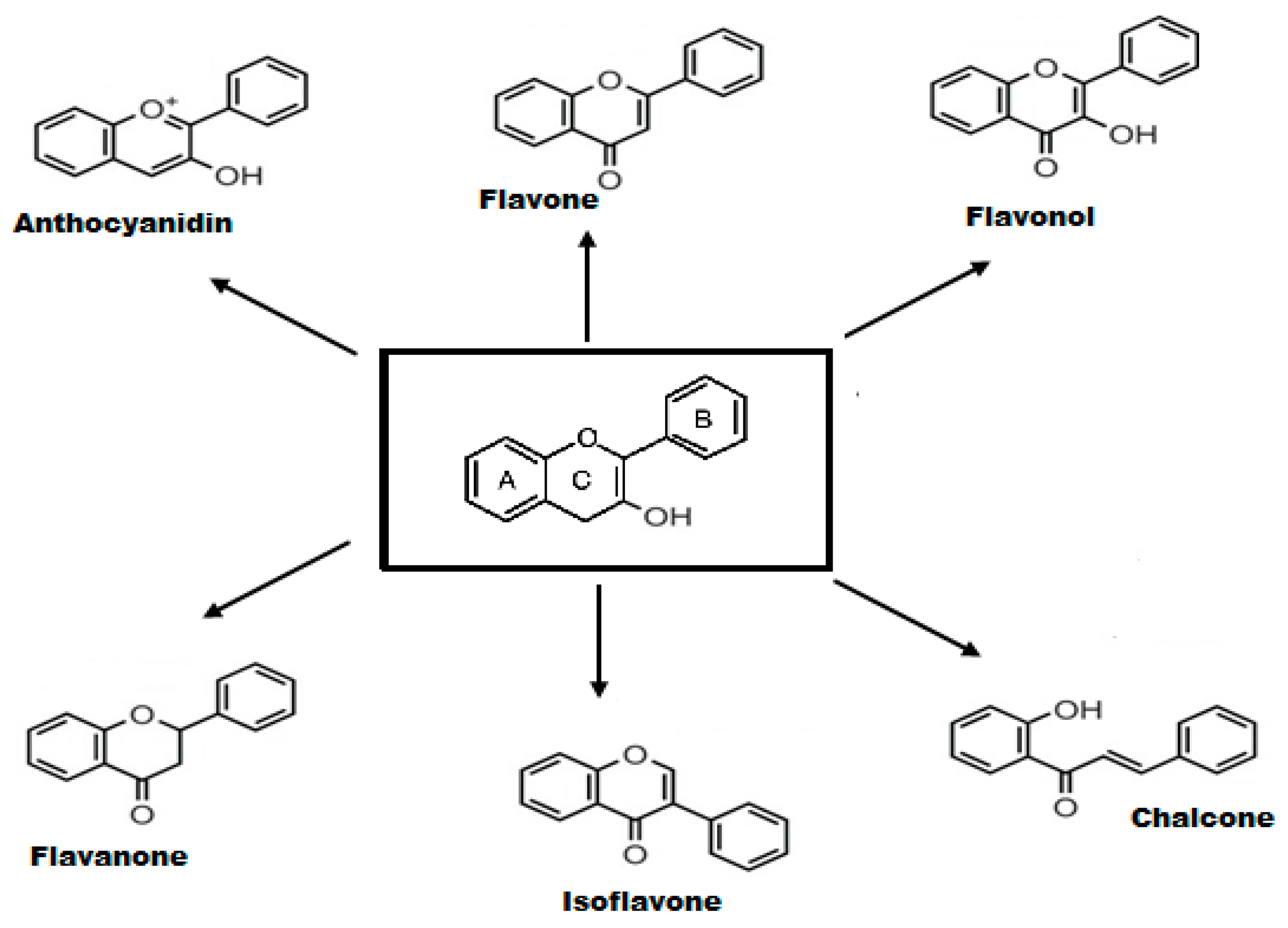 Molecules 25 04895 g001