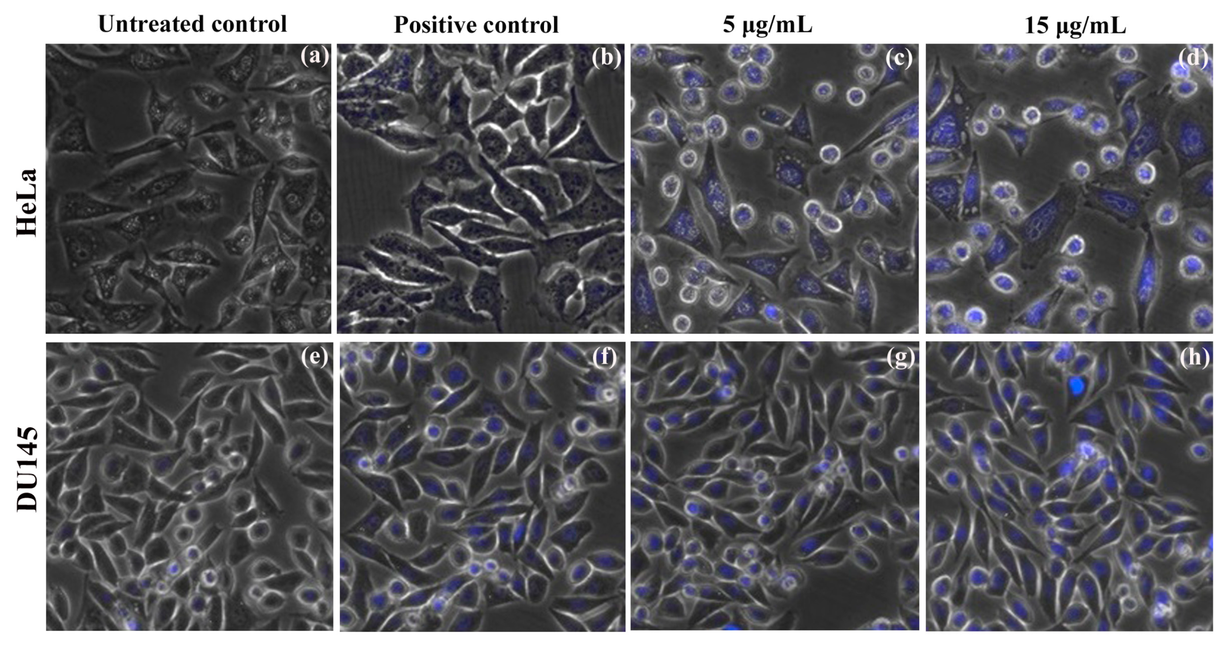 Molecules 25 04896 g007