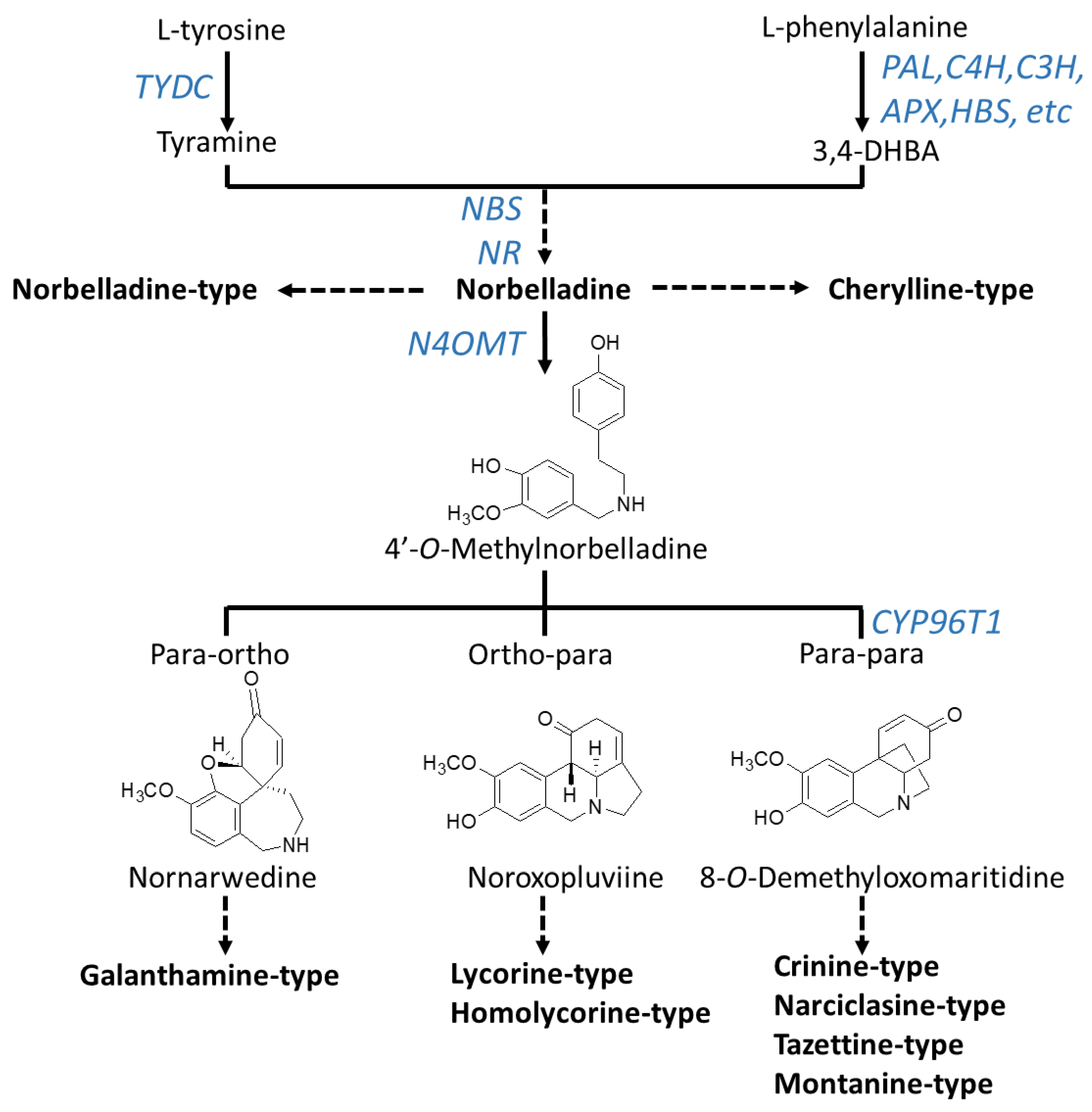 Molecules 25 04901 g002 Molecules 25 04901 g002