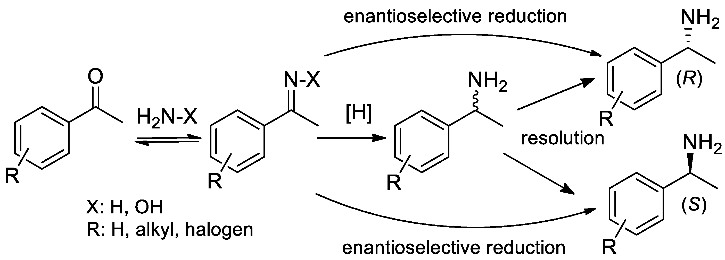 Molecules 25 04907 sch001 Molecules 25 04907 sch001