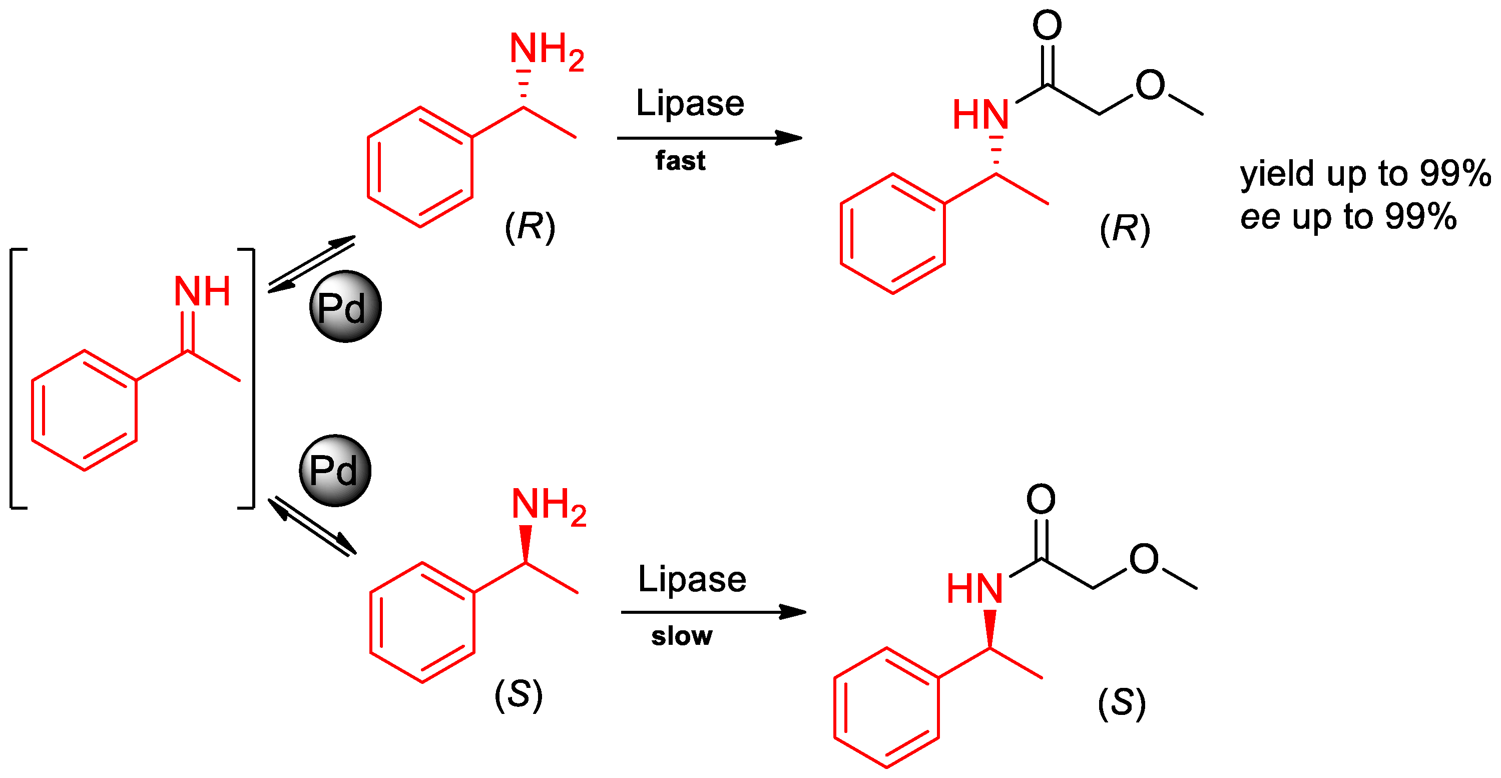 Molecules 25 04907 sch004 Molecules 25 04907 sch004