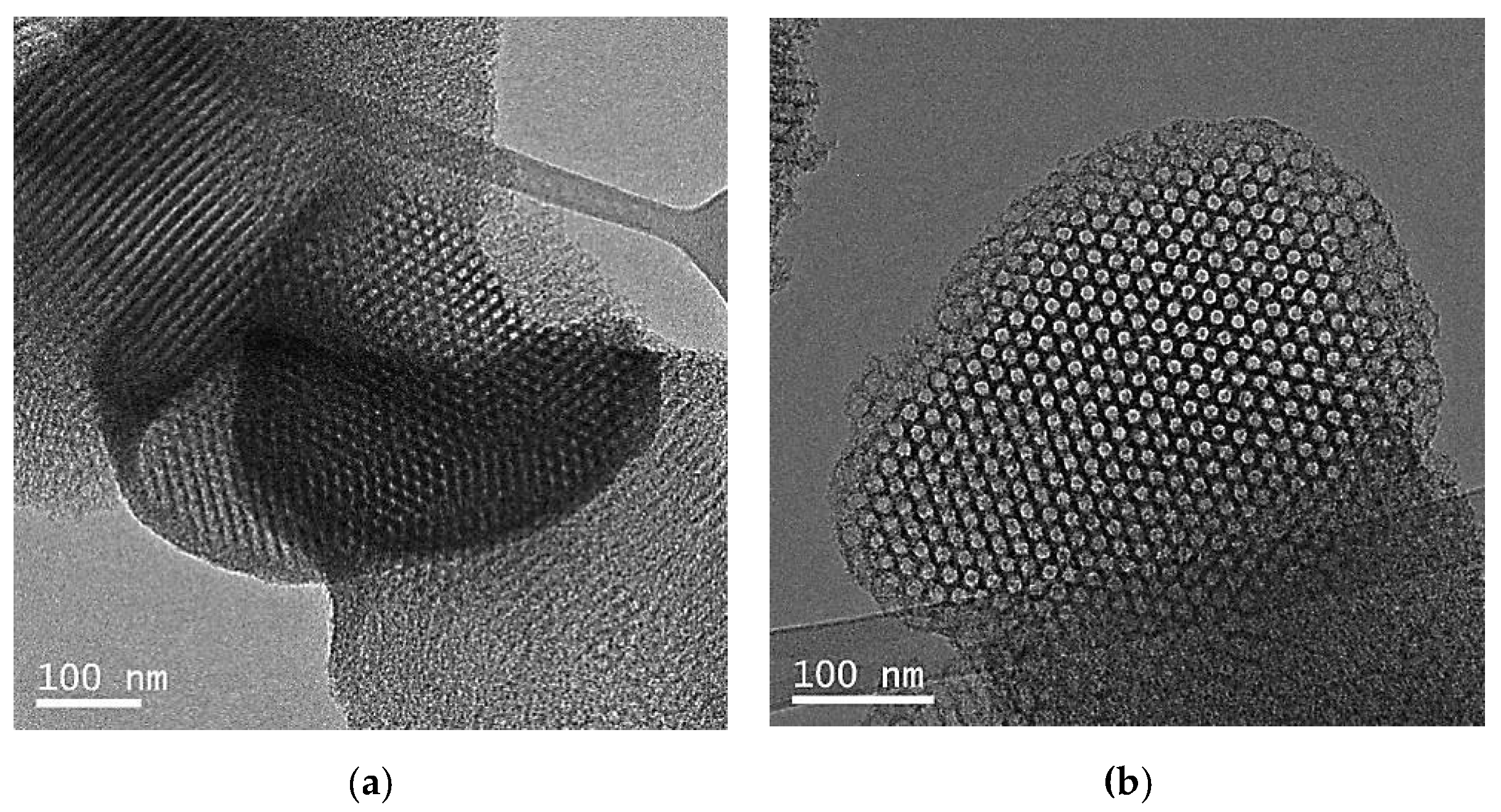 Molecules 25 04909 g004 Molecules 25 04909 g004
