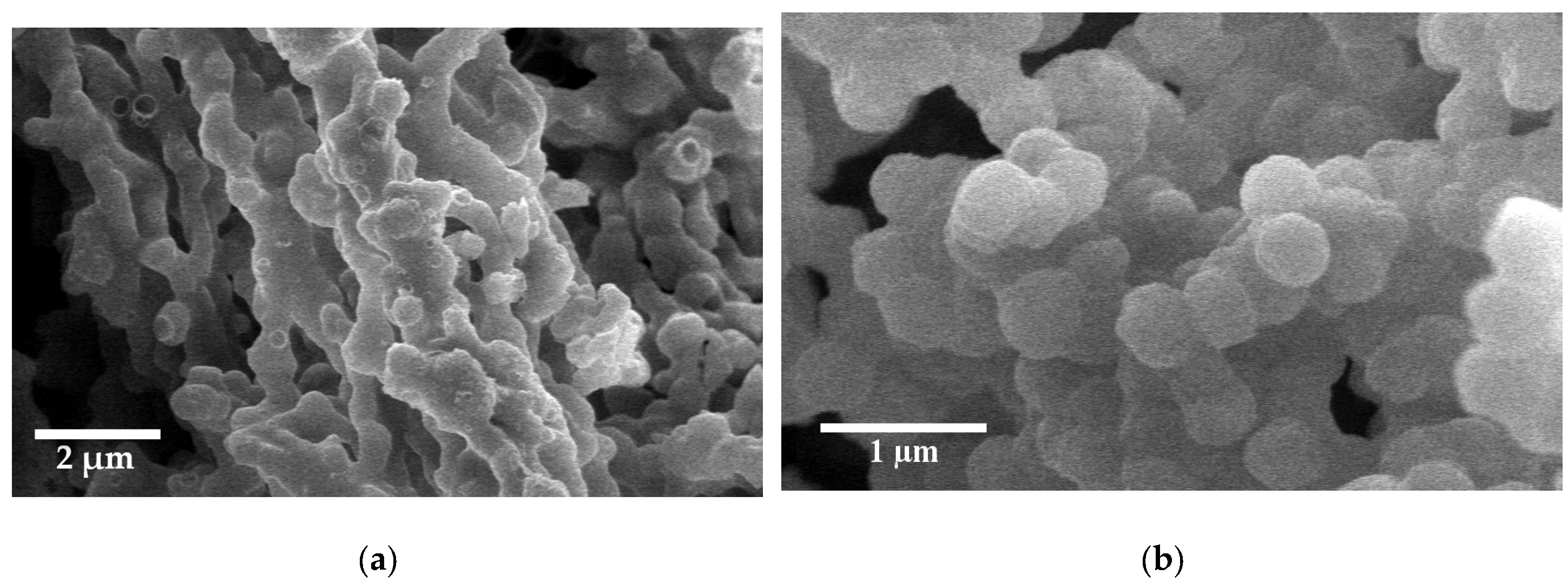 Molecules 25 04909 g005 Molecules 25 04909 g005